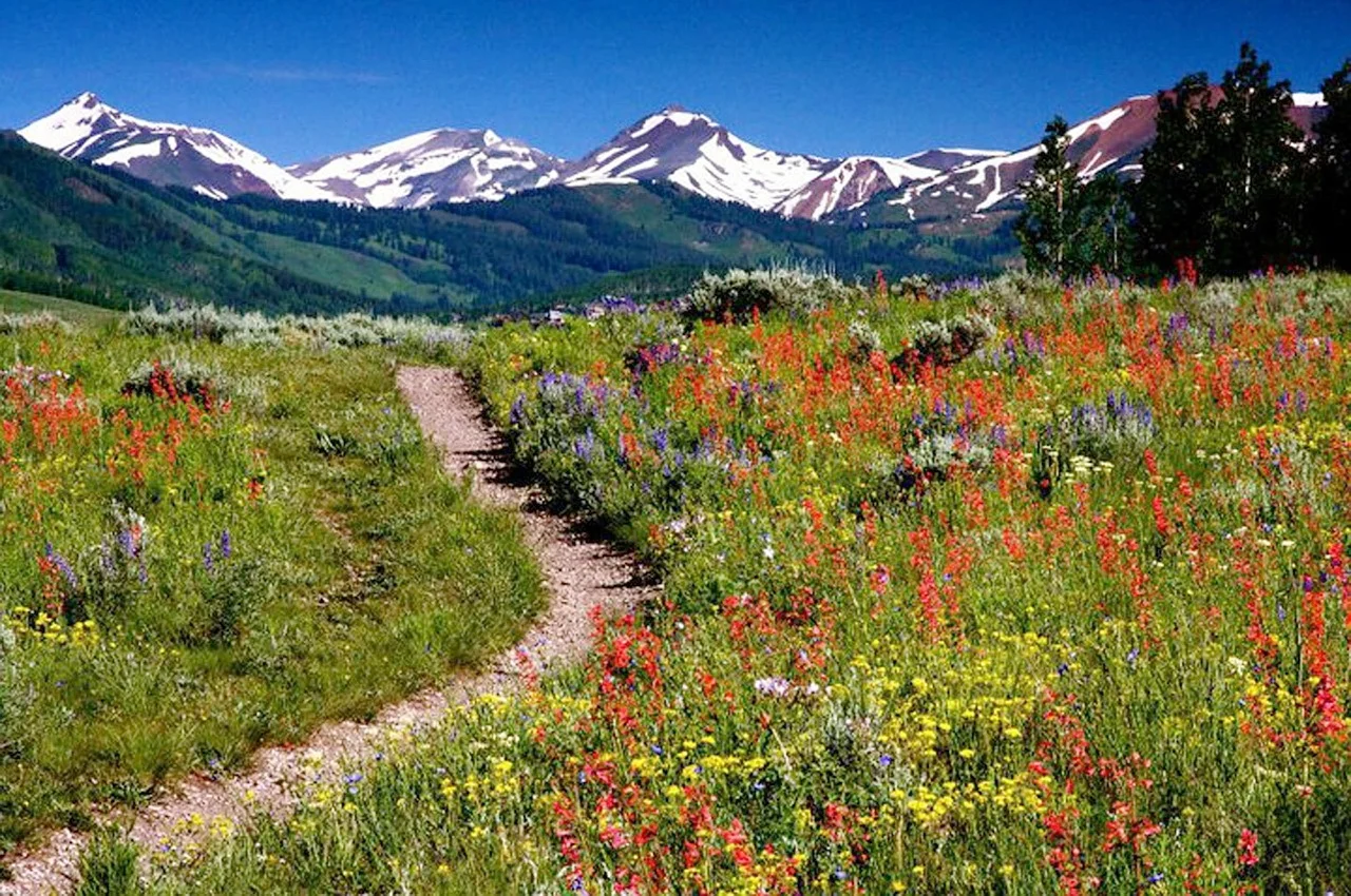 Vail Board of Realtors