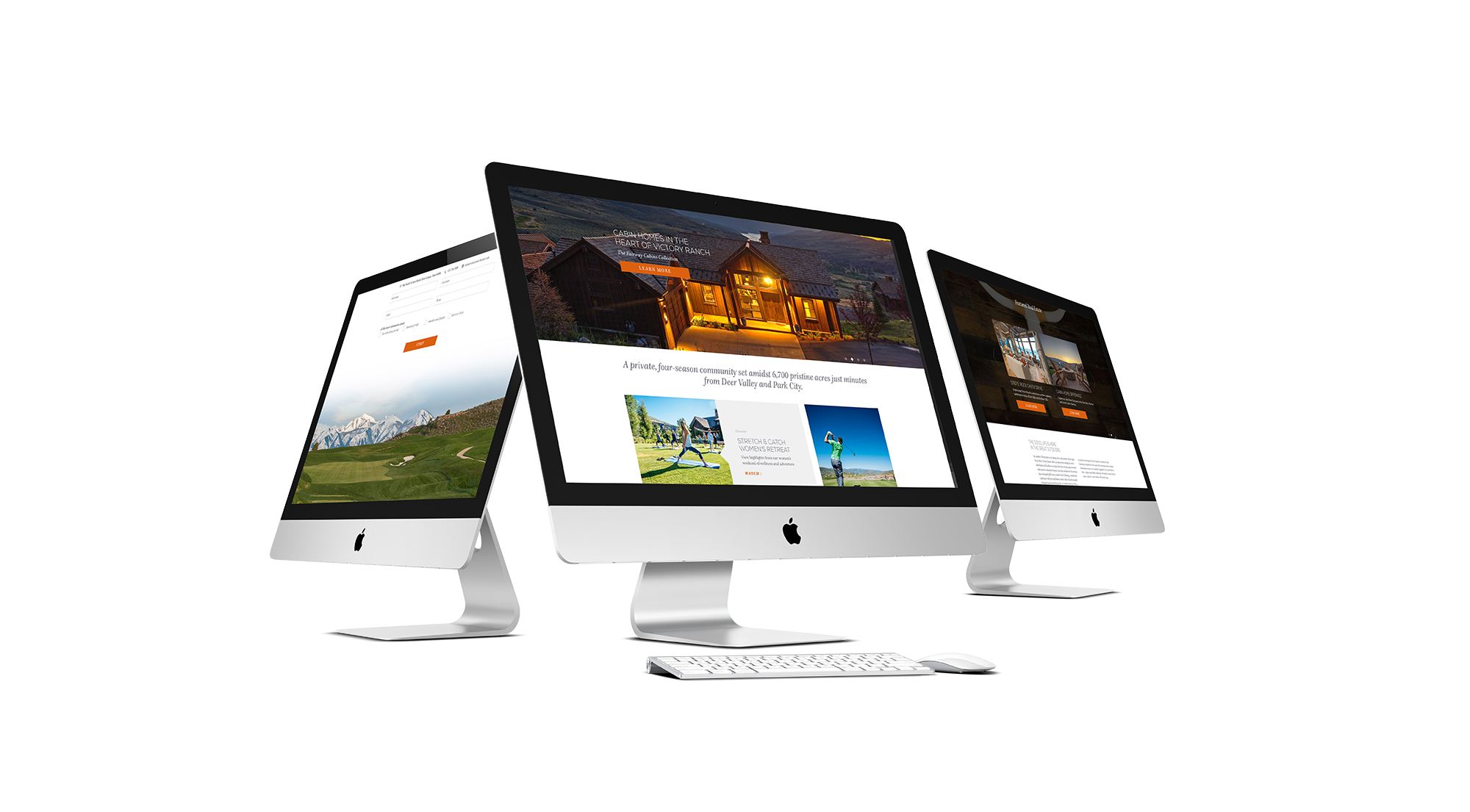 Web Design + Development