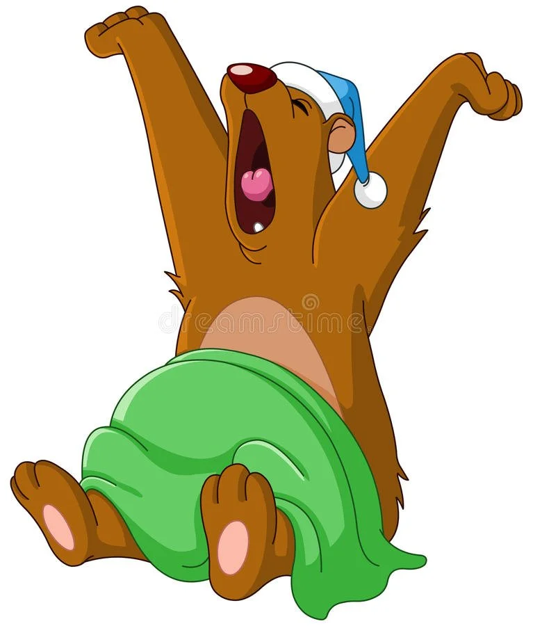 The BEAR is waking-up!