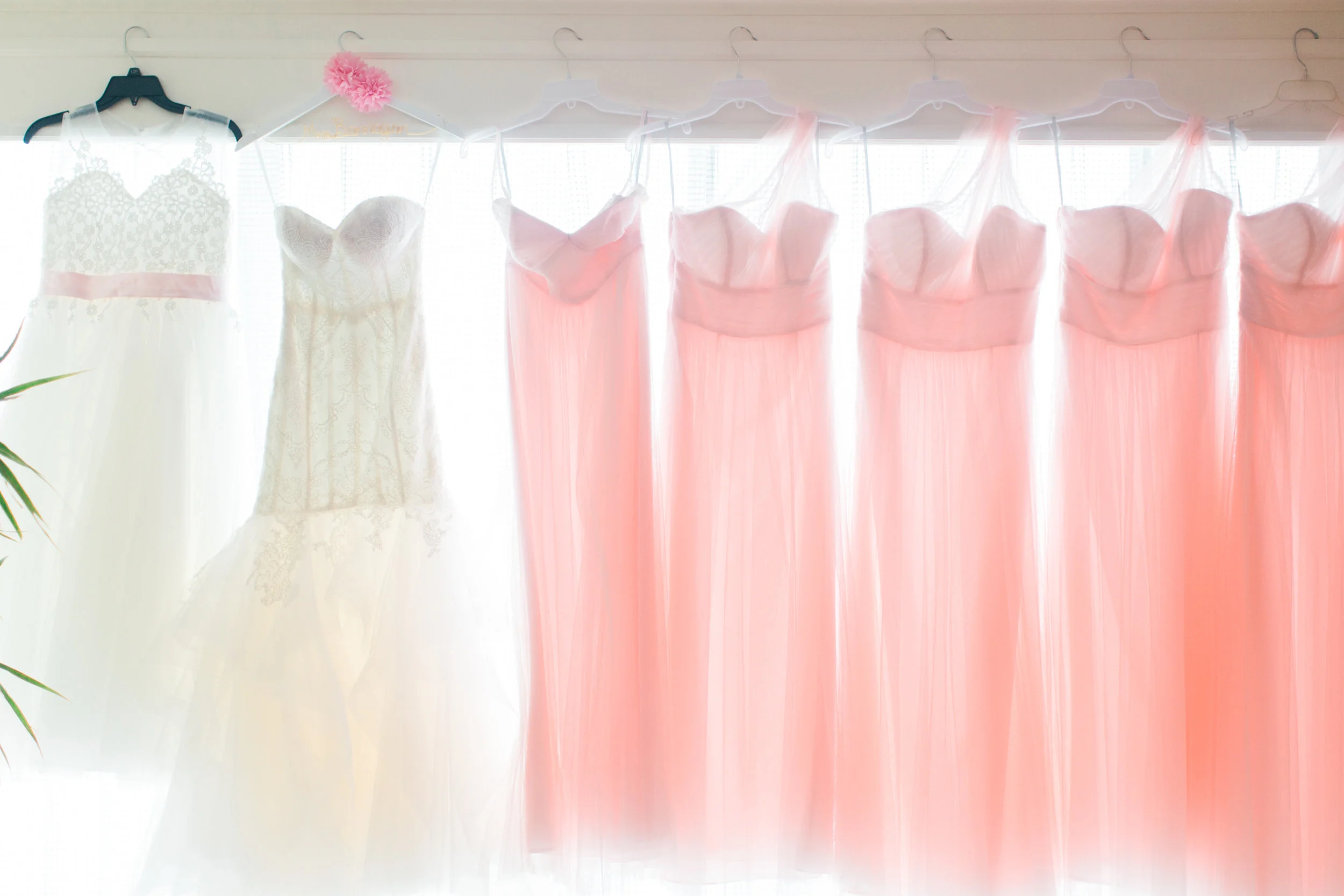 Hill Country Wedding Photographer