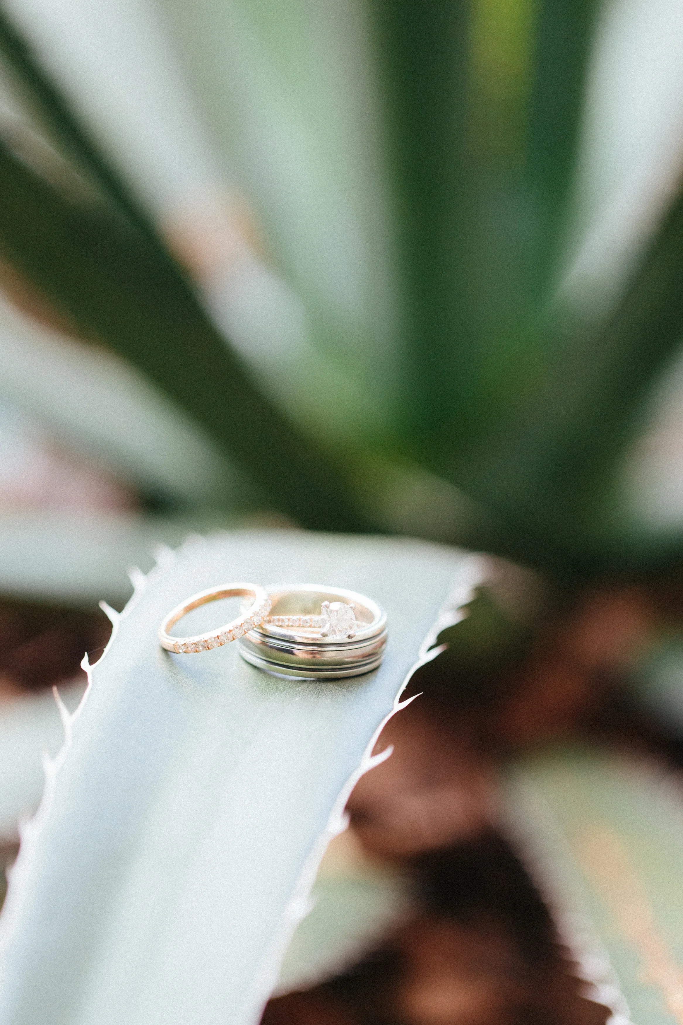 San Antonio Wedding Photographer