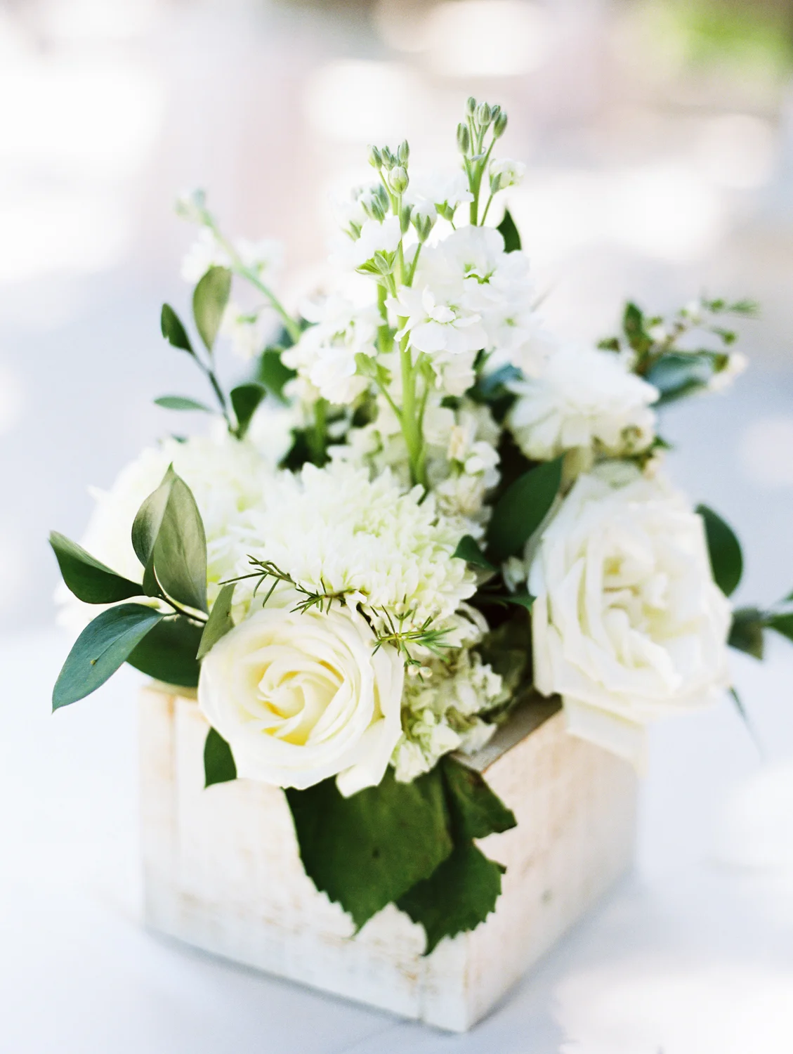 Southern Elegance at SWSA-77.jpg