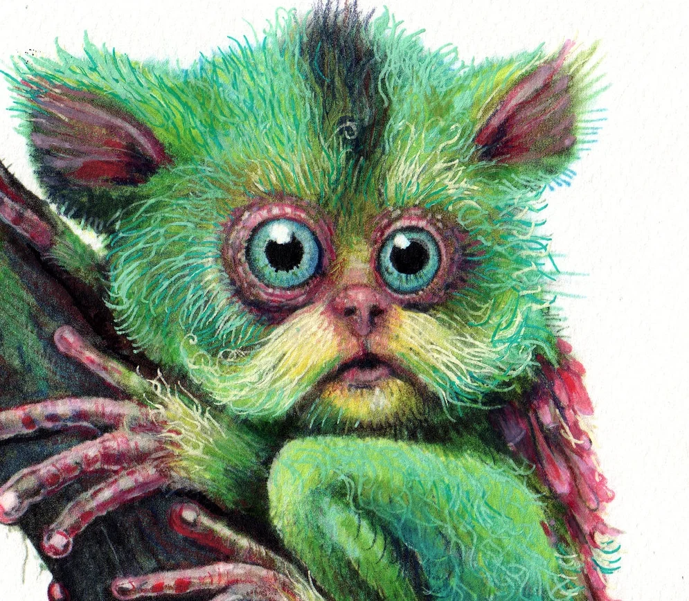 LemurVariation.jpg