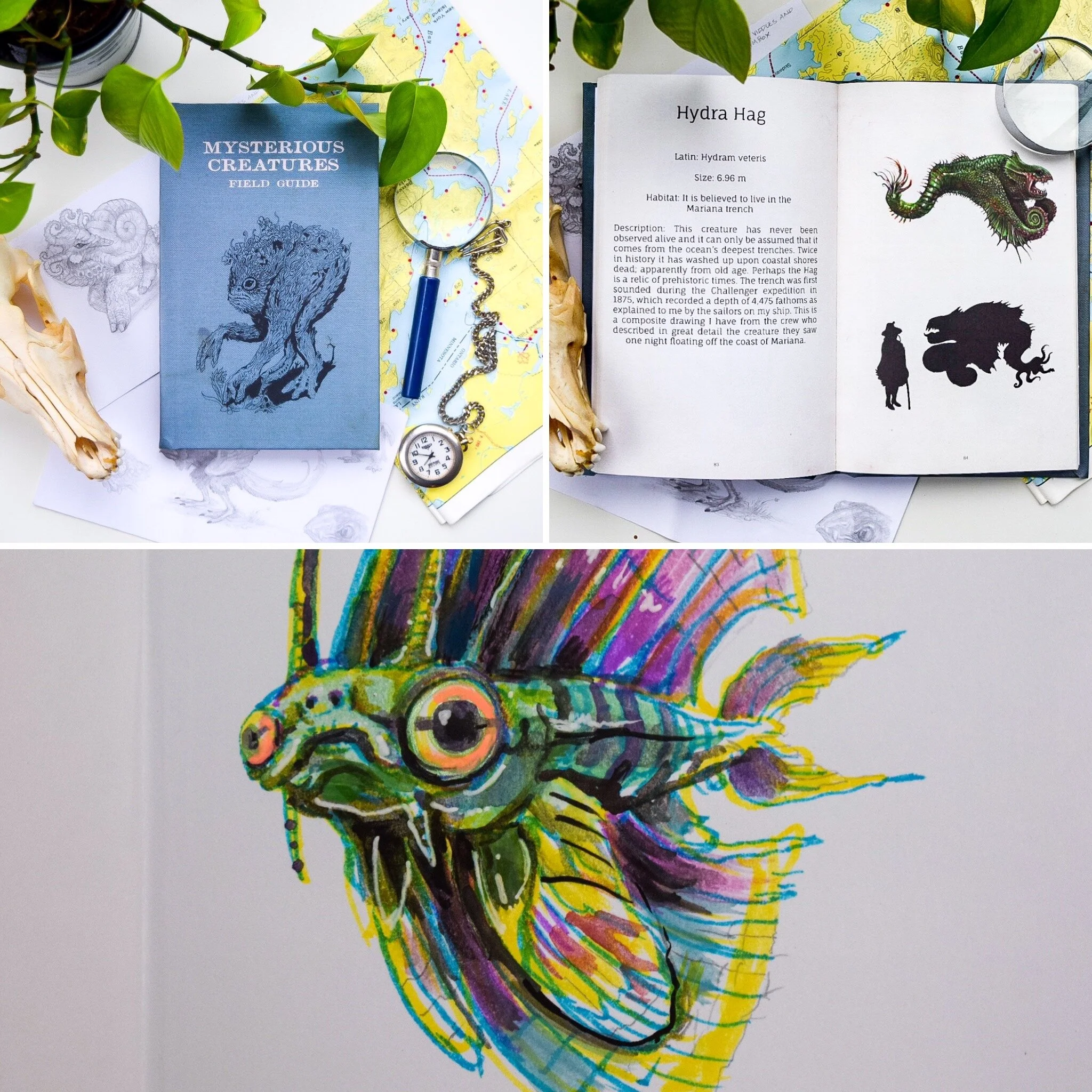 0667E746-2CFD-4801-BB43-B7DD1625EB49