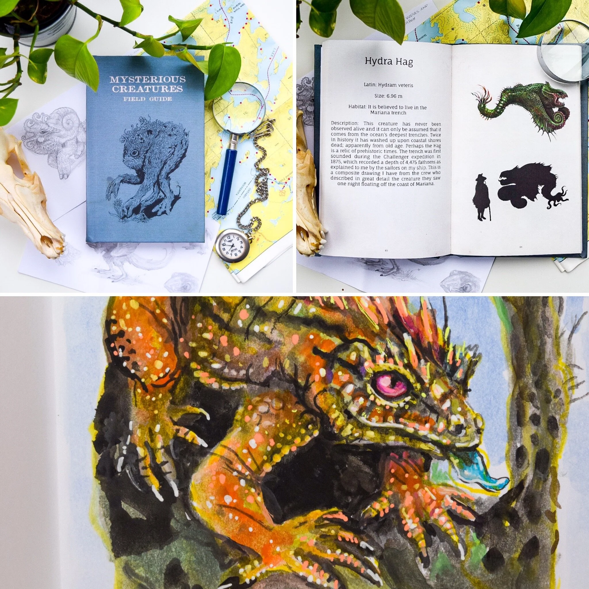 425D21D3-404B-470E-A209-489595B8BD90