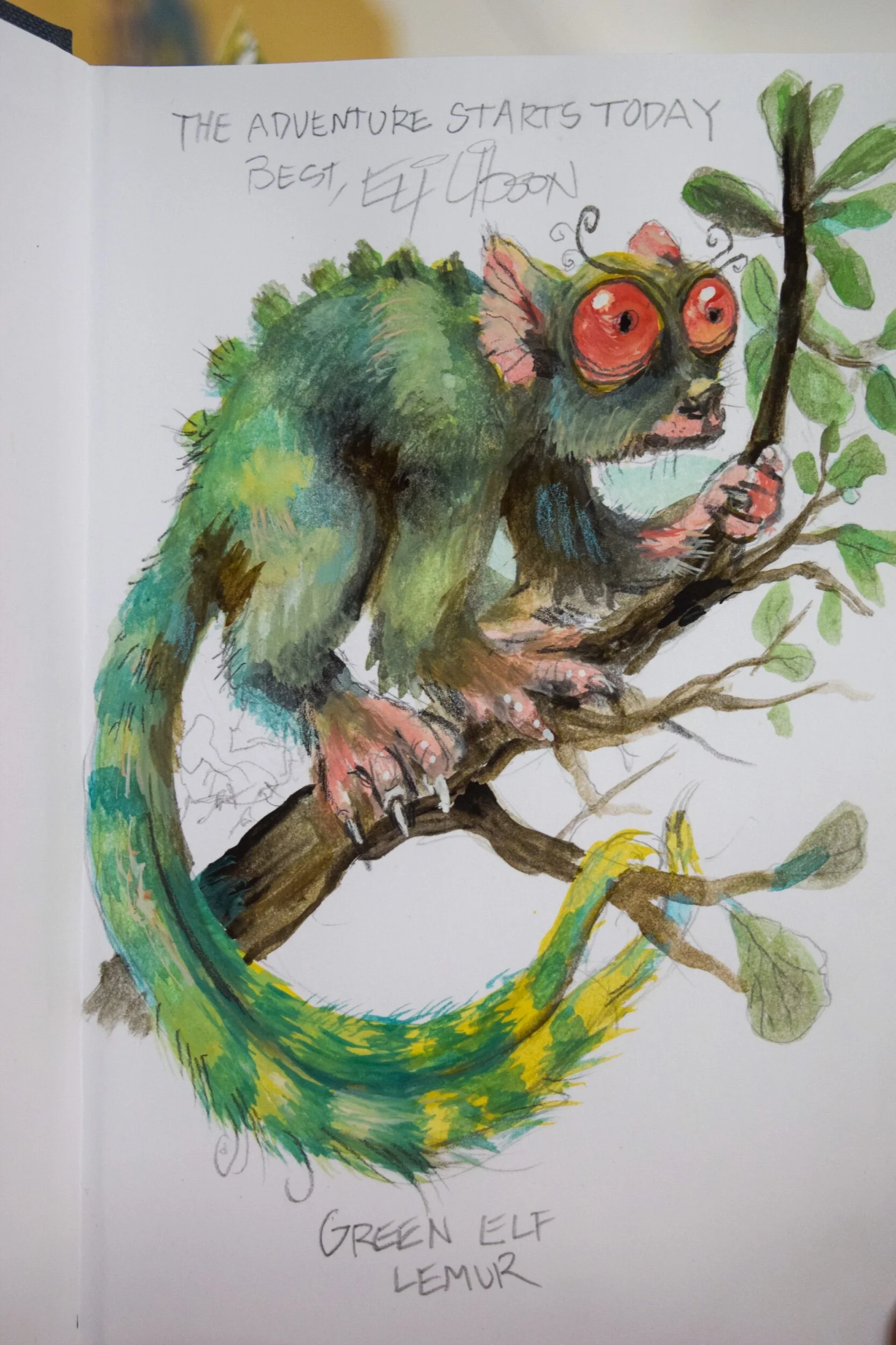 4D42B278-10BE-4DEF-BCA0-96BB32B957F9