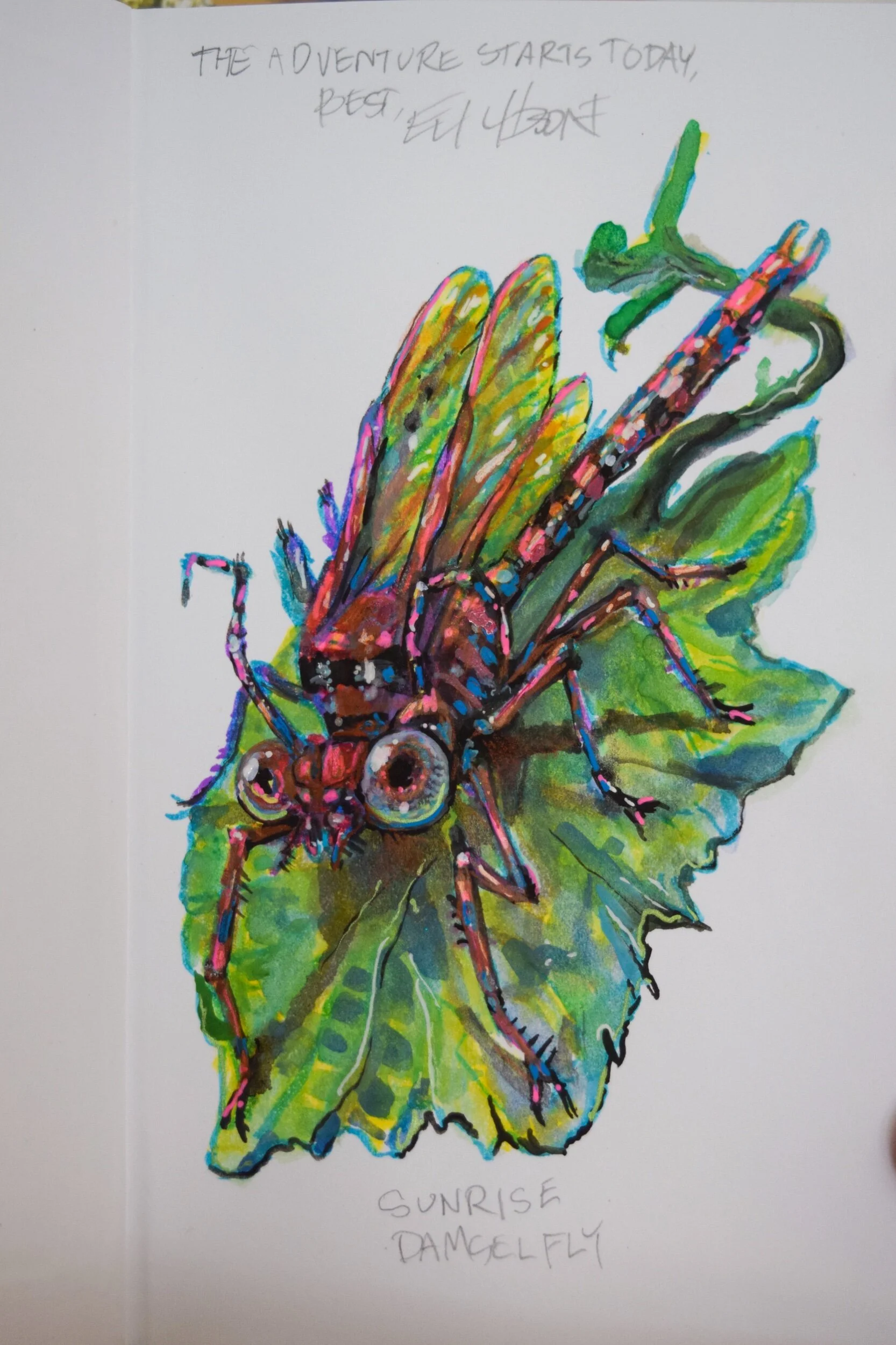 329577B0-3B0D-4B88-BADC-EF015D781A0A