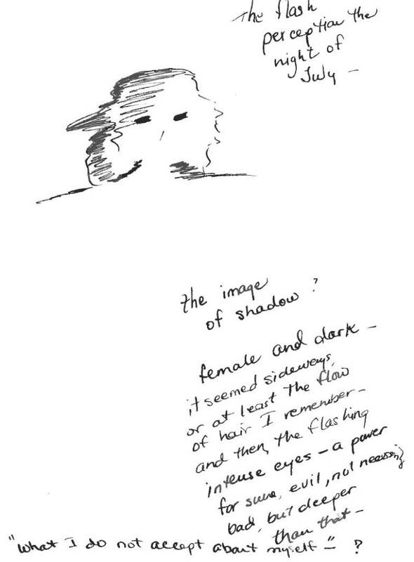 Experiencing the shadow - from a colleague's journal.