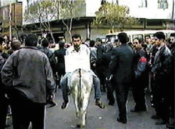 ridingdonkey.JPG