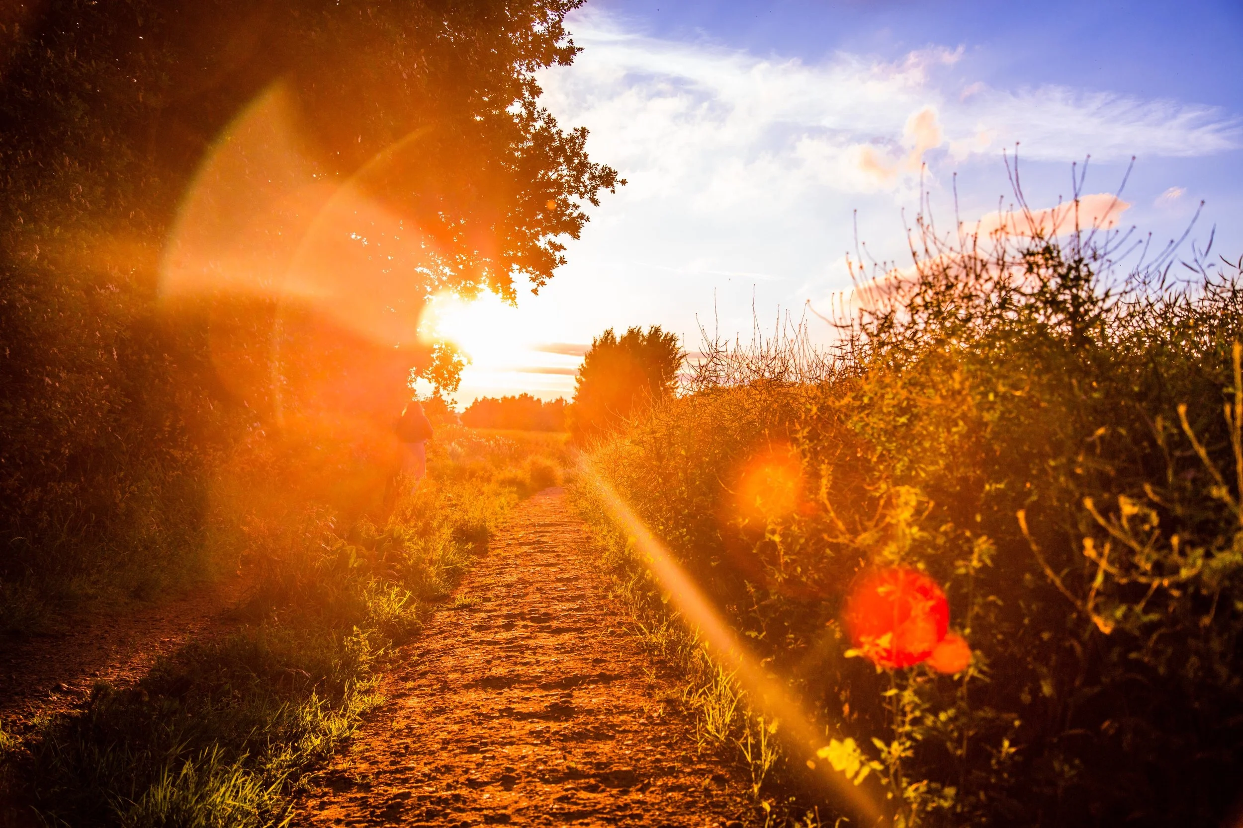Monitoring provides a clear path forward.