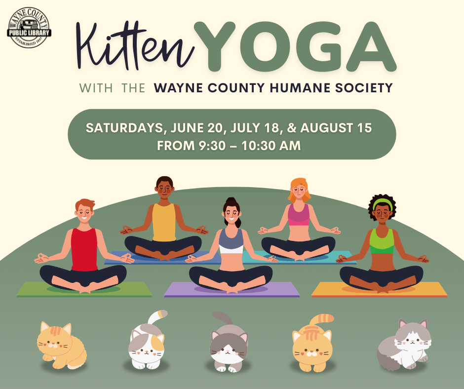 kittenyoga.png