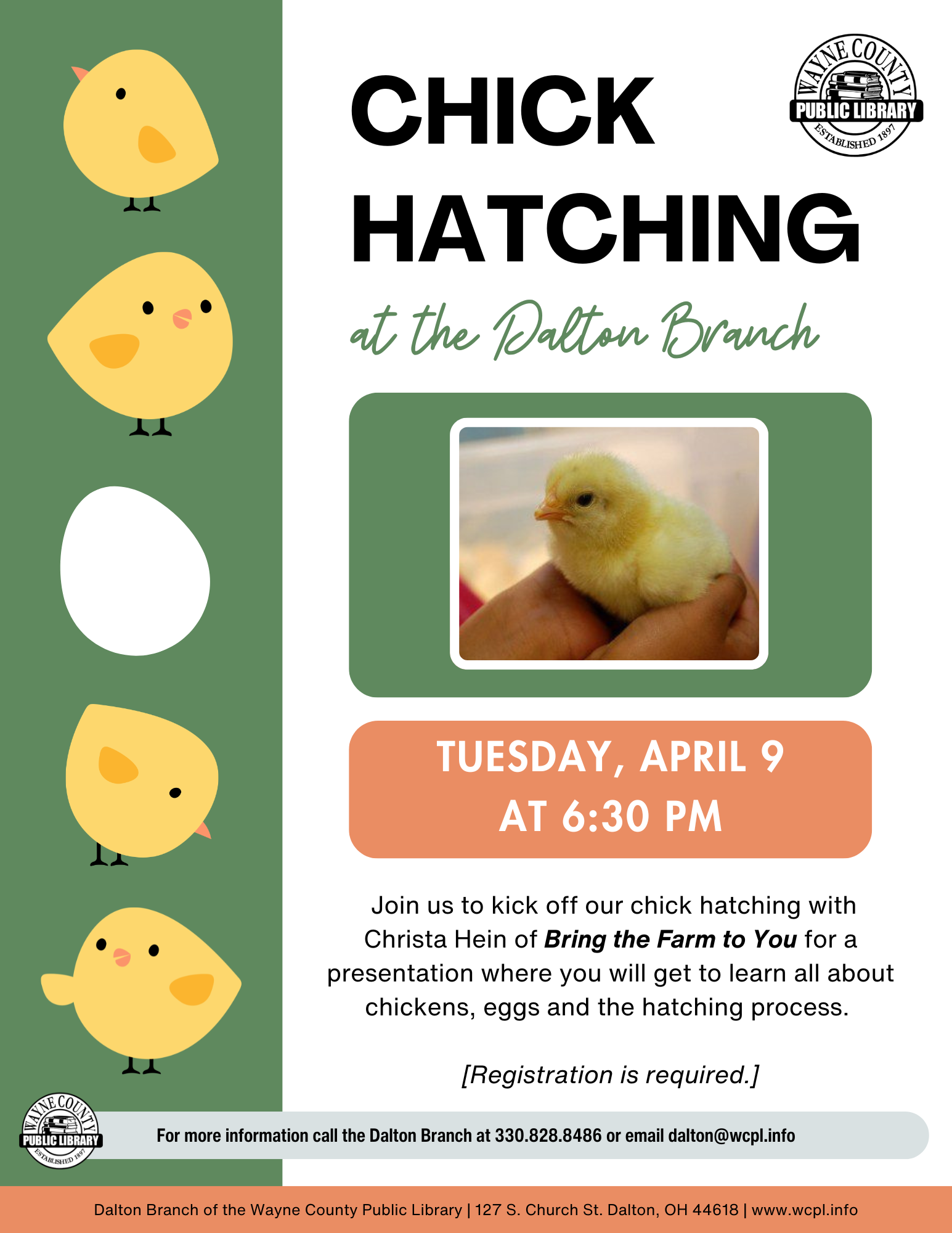CHICK HATCHING.png