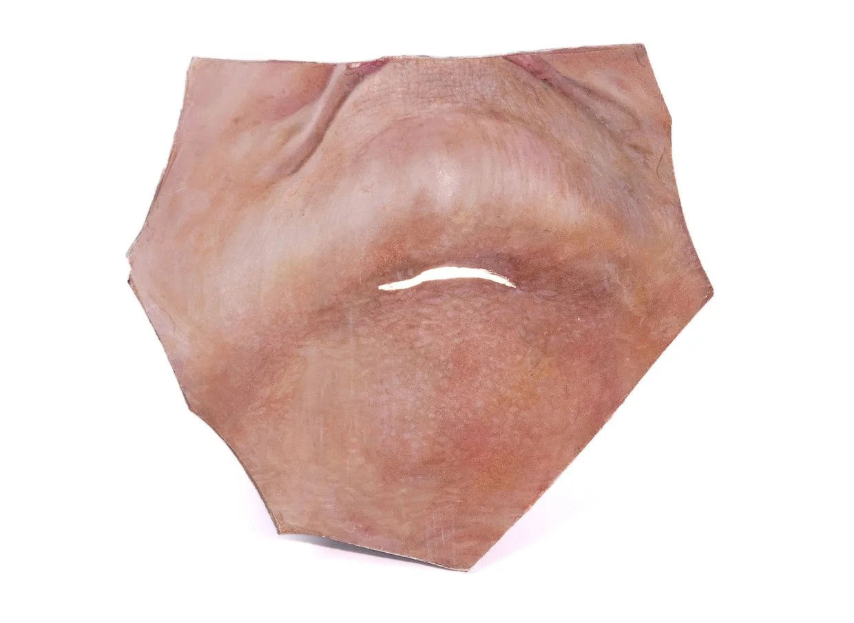 06_Journey_Chin.jpg