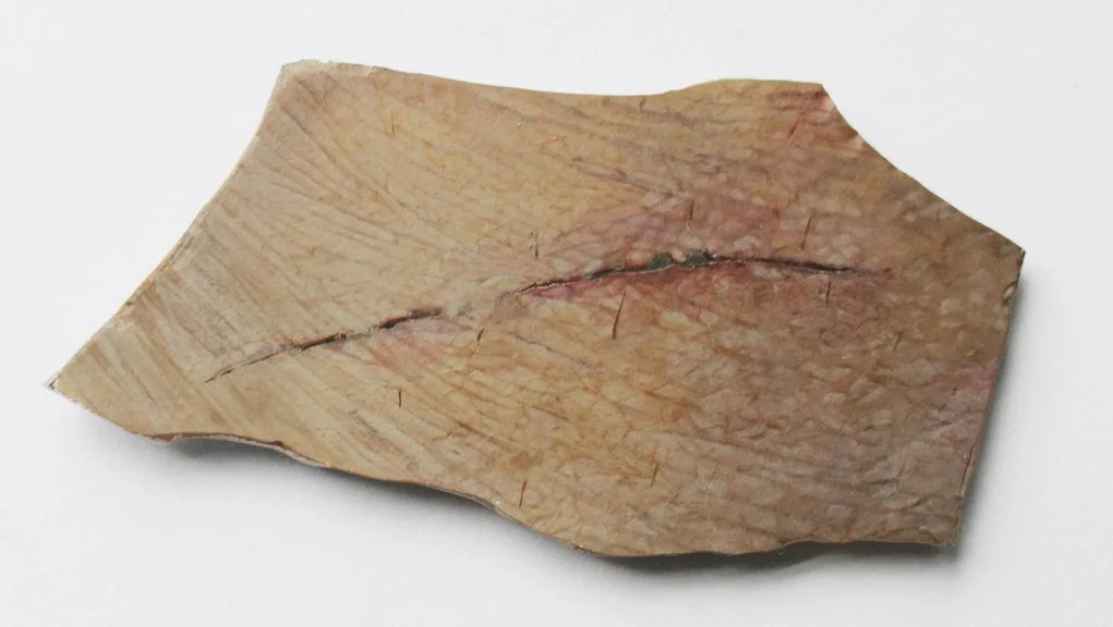 10_Zeta_PointofEntrySeries_ScarfromaPoliticalProtest copy.jpg