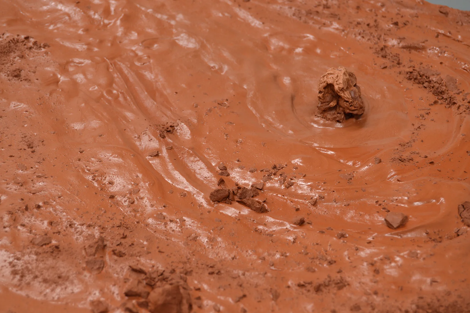 Bitterroot Flashflood detail