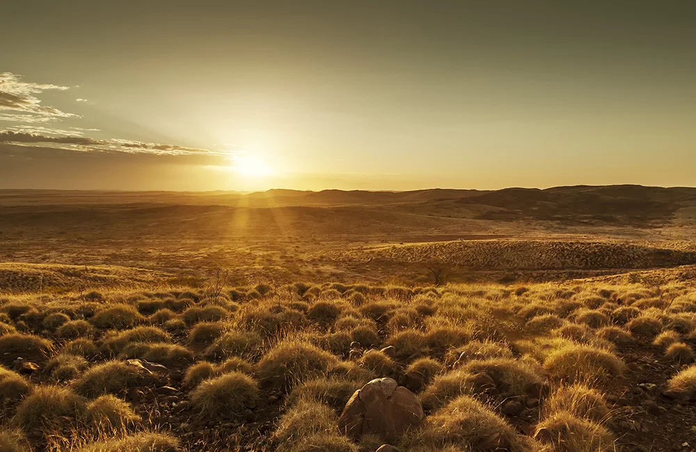 SUSTAINABILITY_Home_Image_New 1.jpg