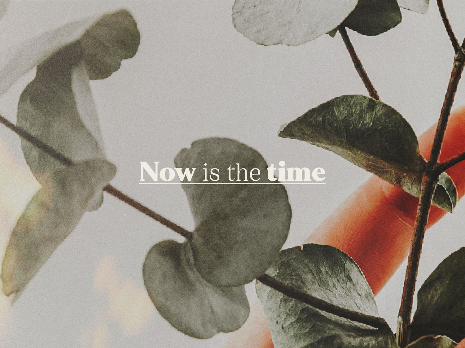 SPTC_ChurchPlanting_Website_2021-02.png