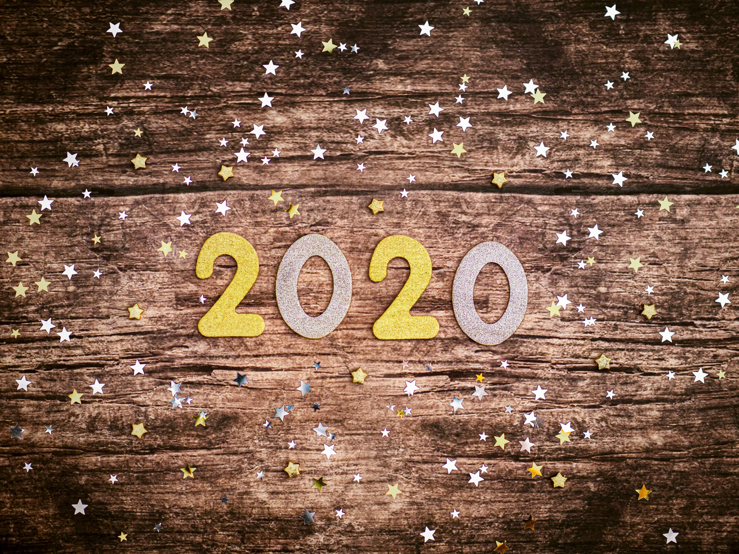 New Year Language Workbook for Children - Free Download