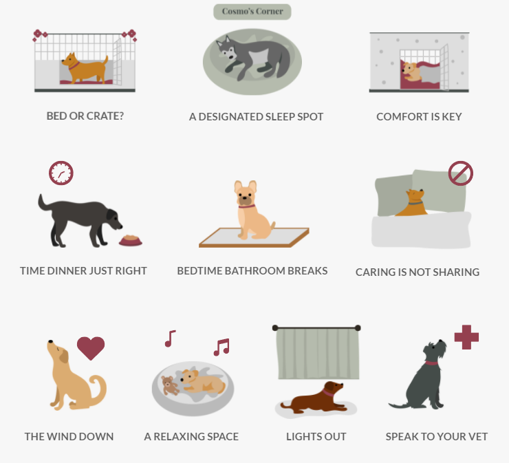 3 Tips To Help Your Dog Sleep Well
