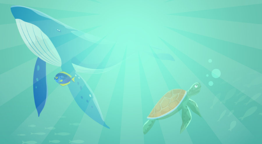 5 Ways to Look After The Oceans When Travelling