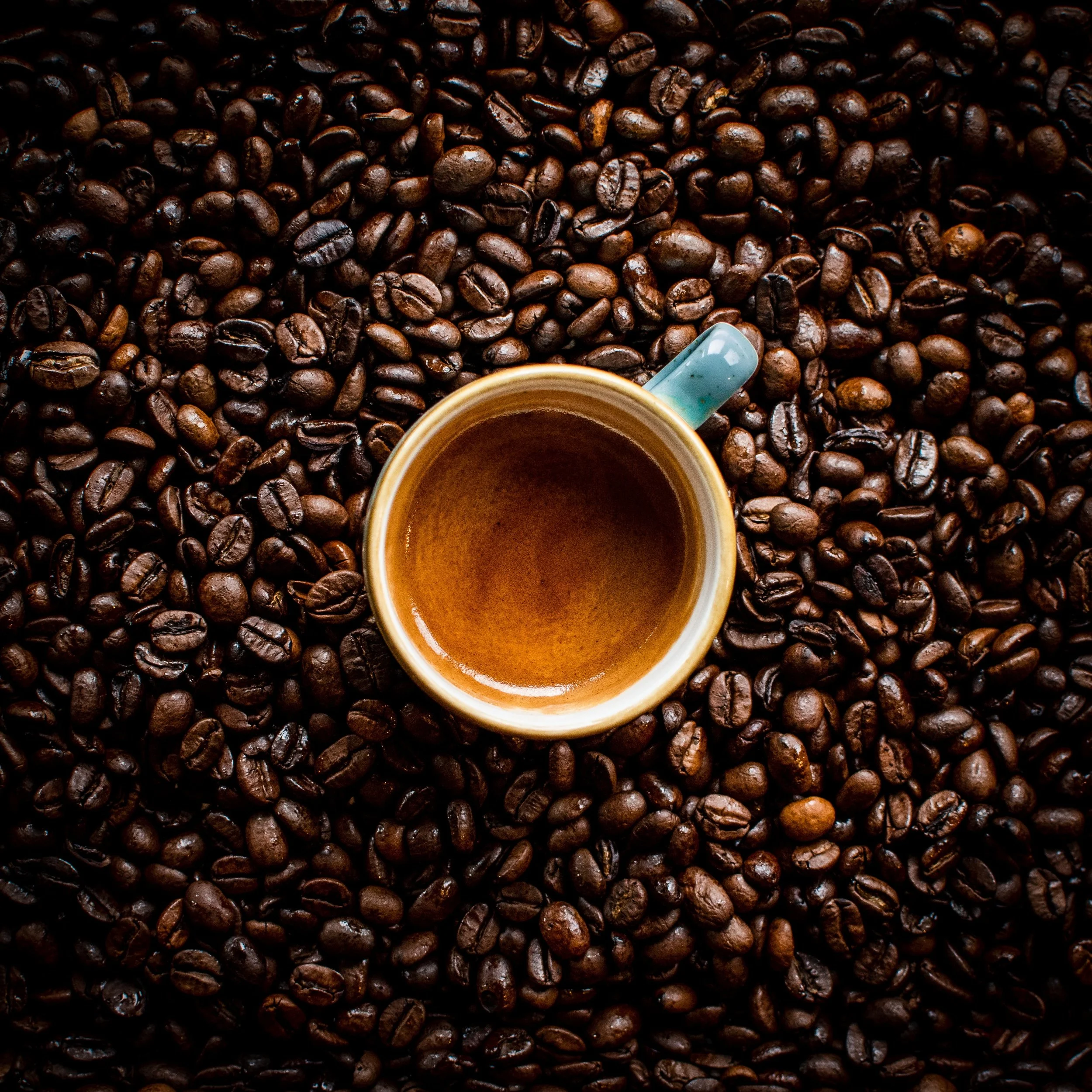 Espresso vs Coffee - What Is The Difference Between Them?