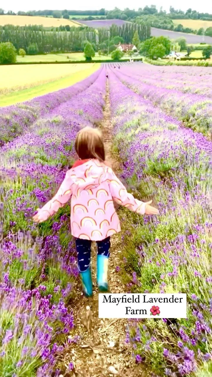 what-is-fetal-fraction-and-what-does-it-mean-for-your-non-invasive