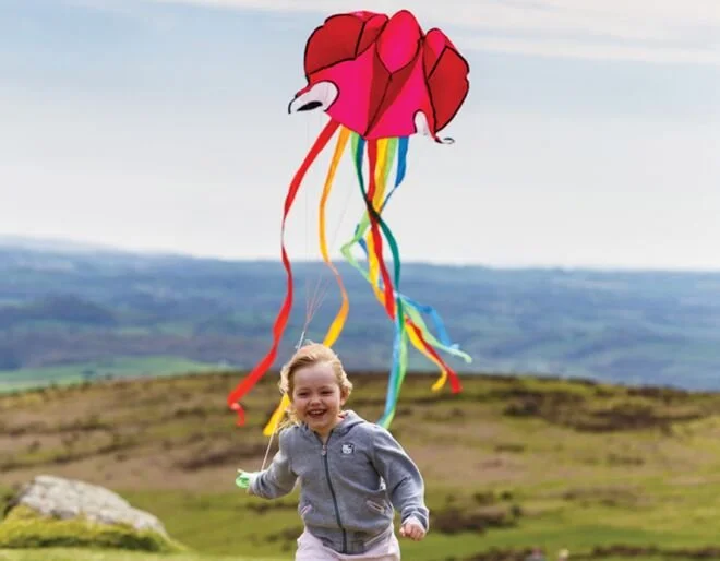 WIN! Jumbo Octopus Kite from Wicked Uncle!