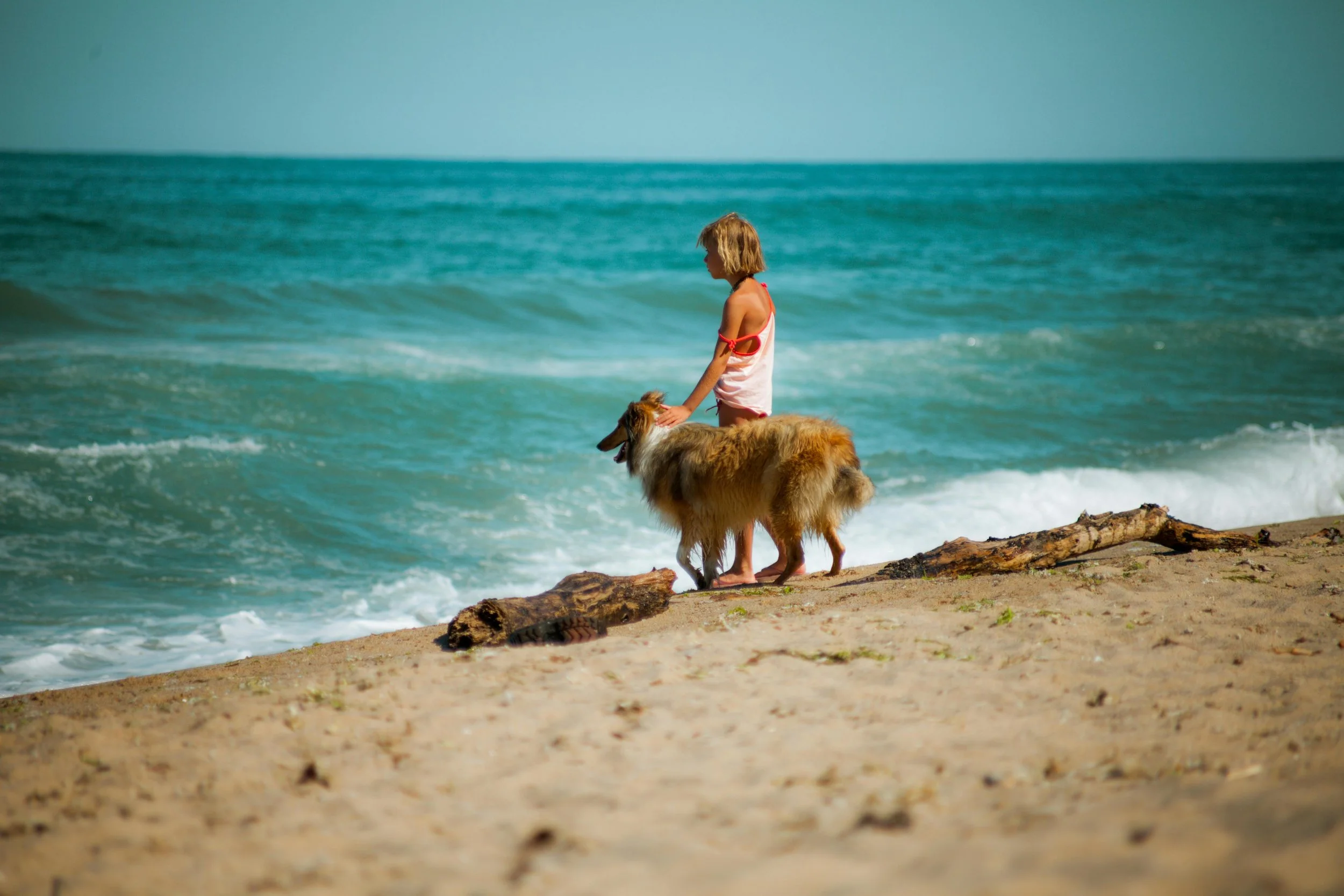How to Enjoy a Beach Vacation with Your Dog: Ultimate Woofing Wanderlust