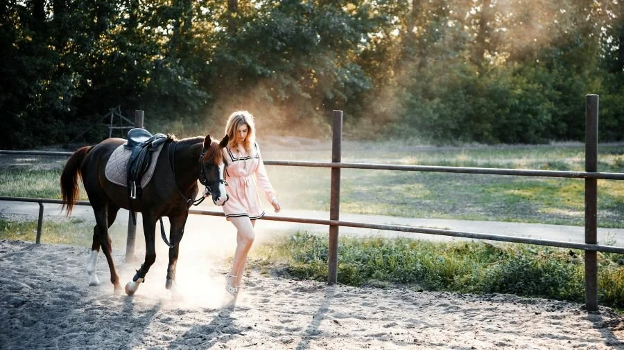Equine Therapy and the Healing Bond Between Humans and Horses