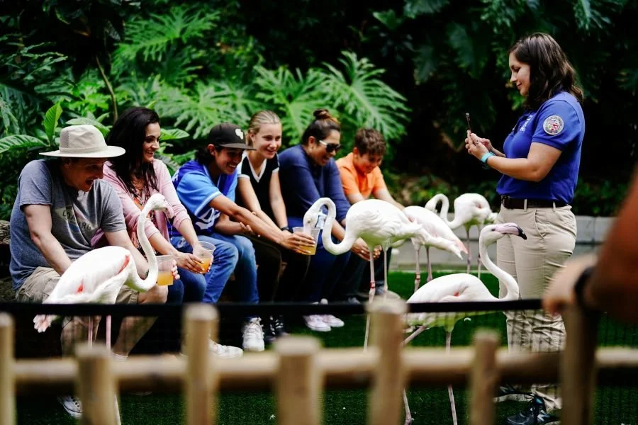 How Guided Tours Enhance Your Travel Experience