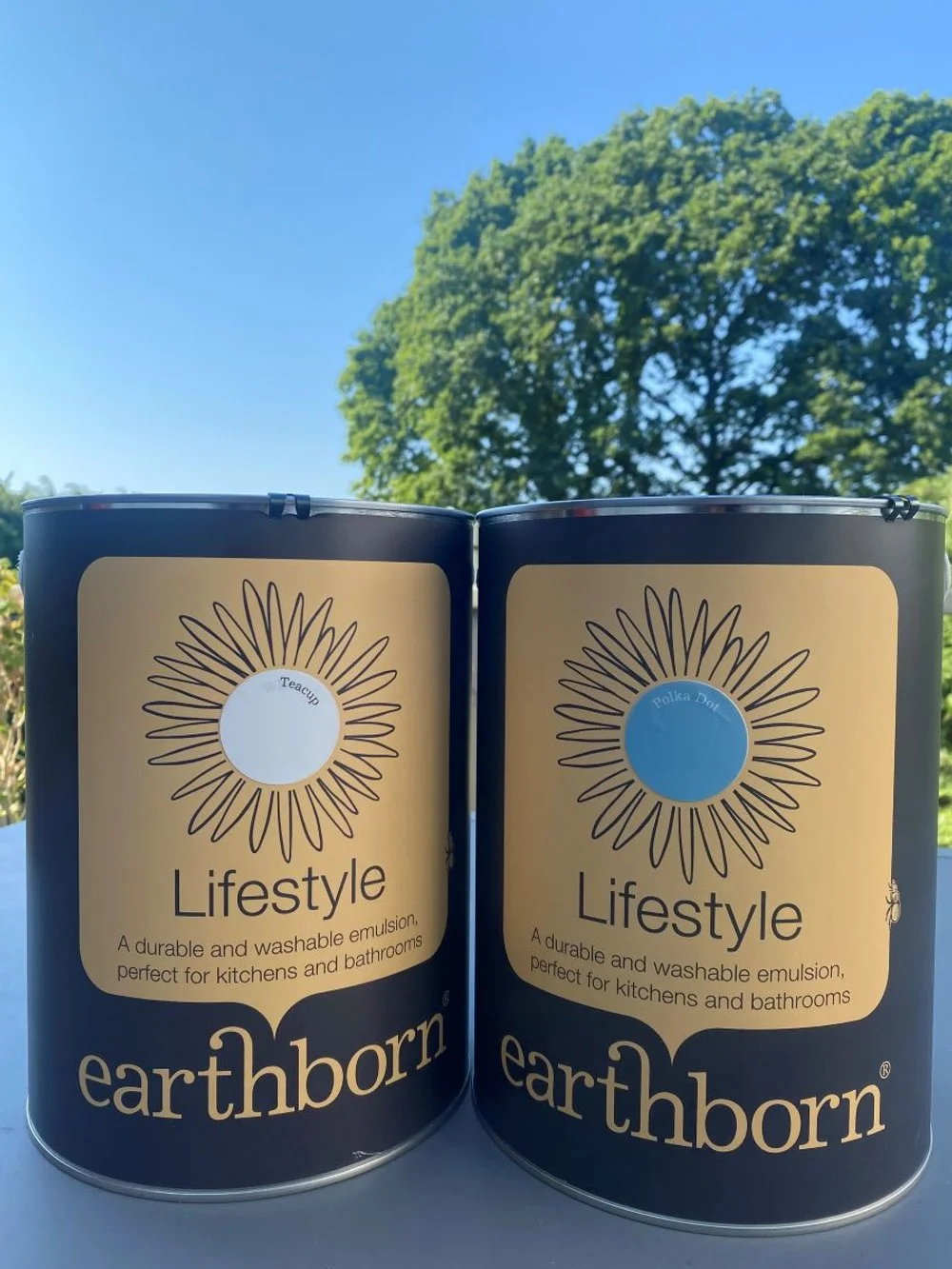 Earthborn Paints Review Using Blue in a Child's Bedroom Expert