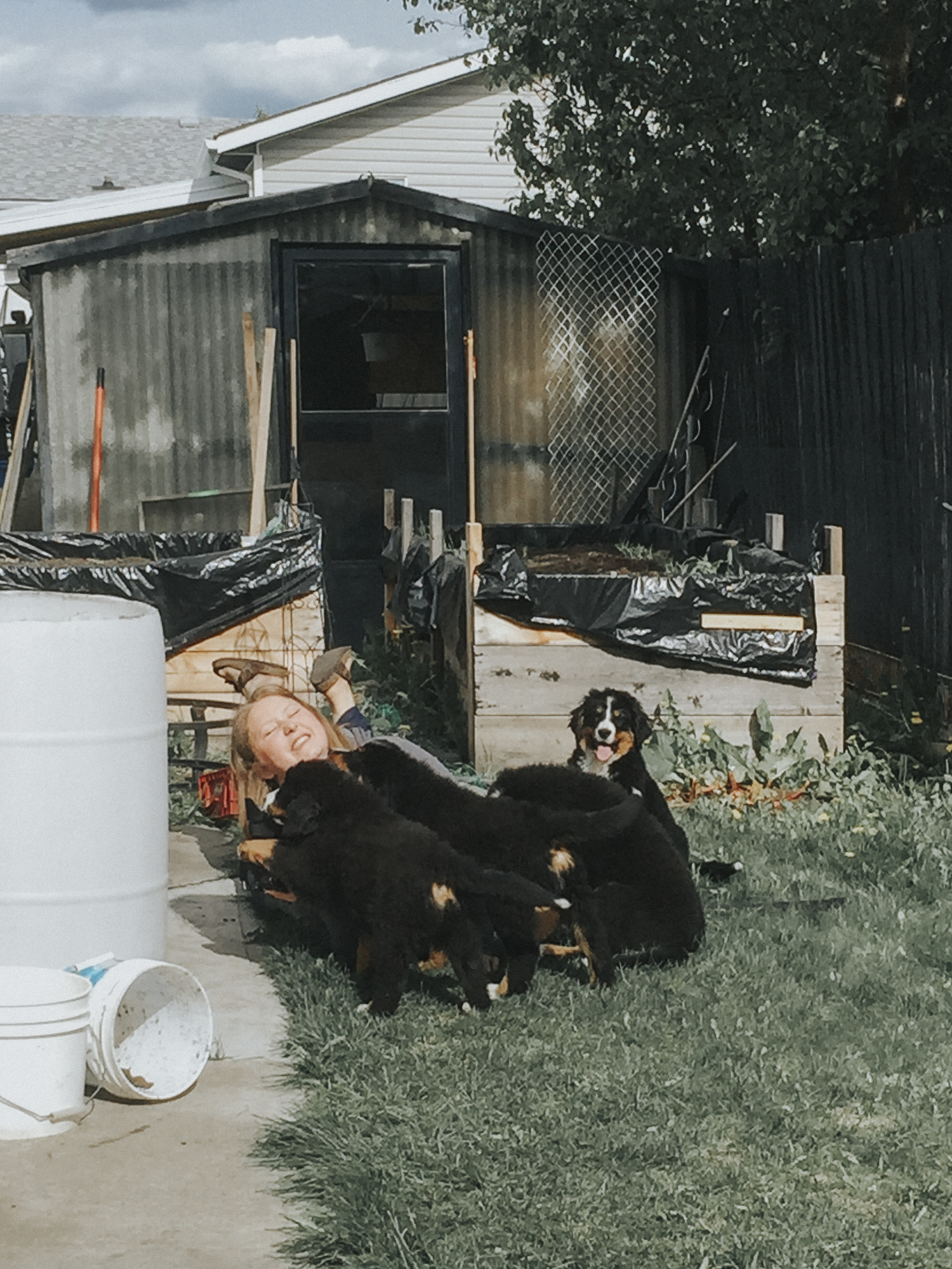 Behind the scenes of puppy photography!