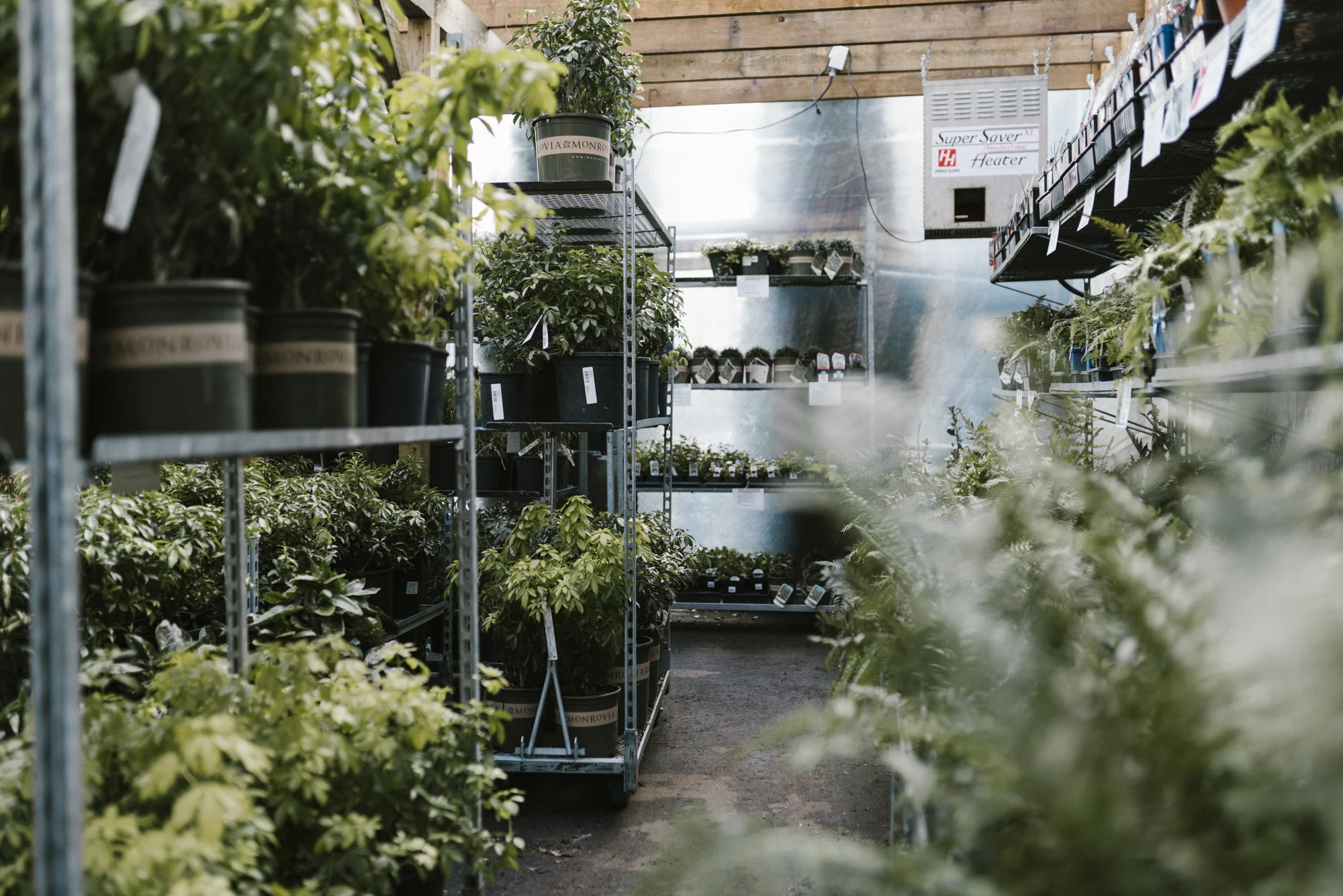 www.sabrinamayphotography.com,Floral,greenhouse-3.jpg