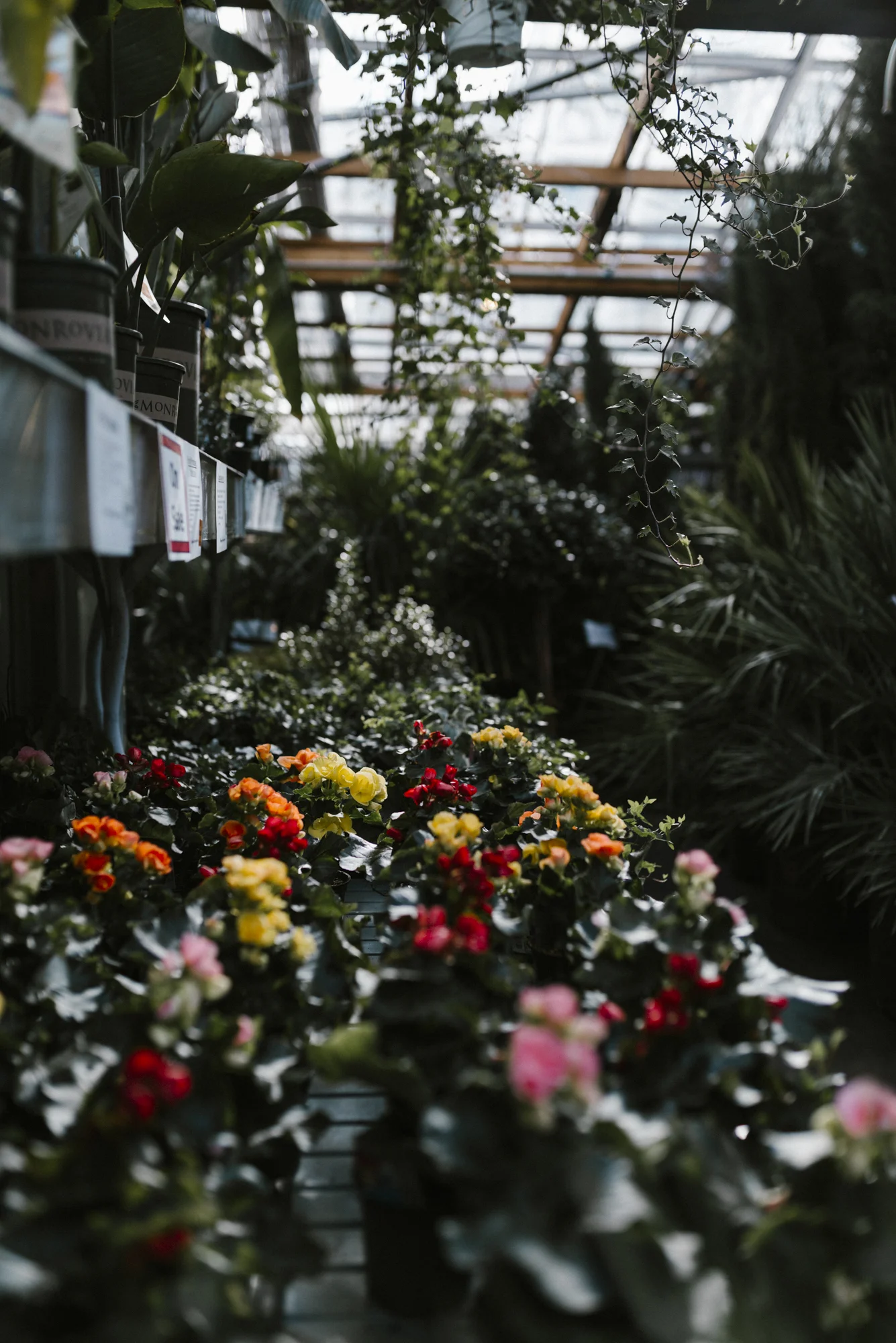 www.sabrinamayphotography.com,Floral,greenhouse-14.jpg