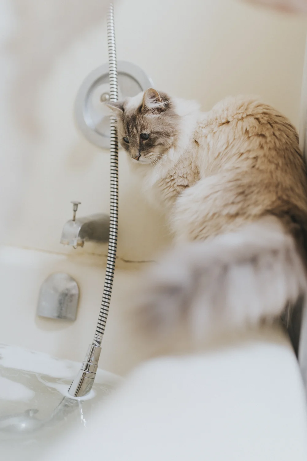 Bath,sabrinamay-7.jpg