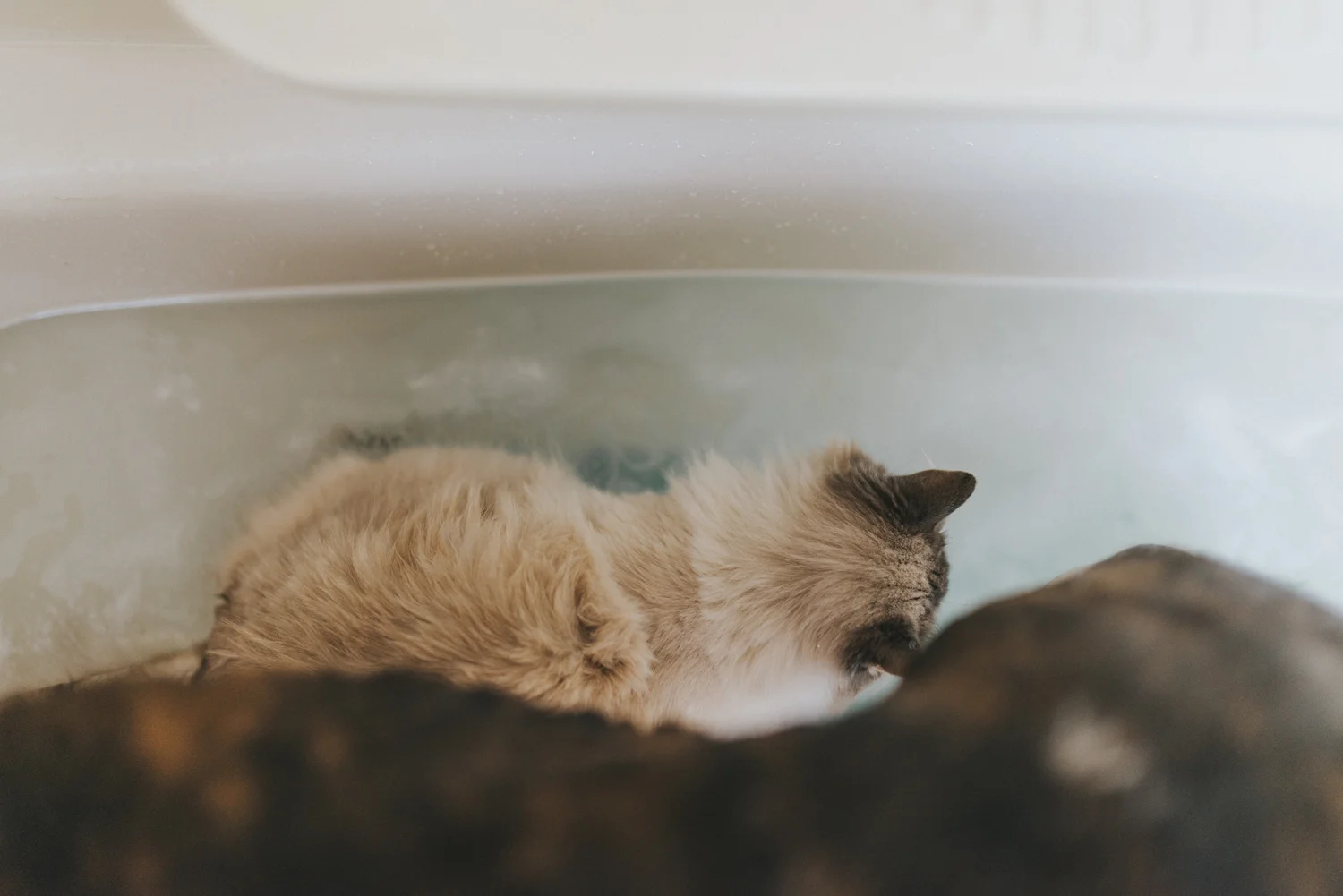Bath,sabrinamay-13.jpg