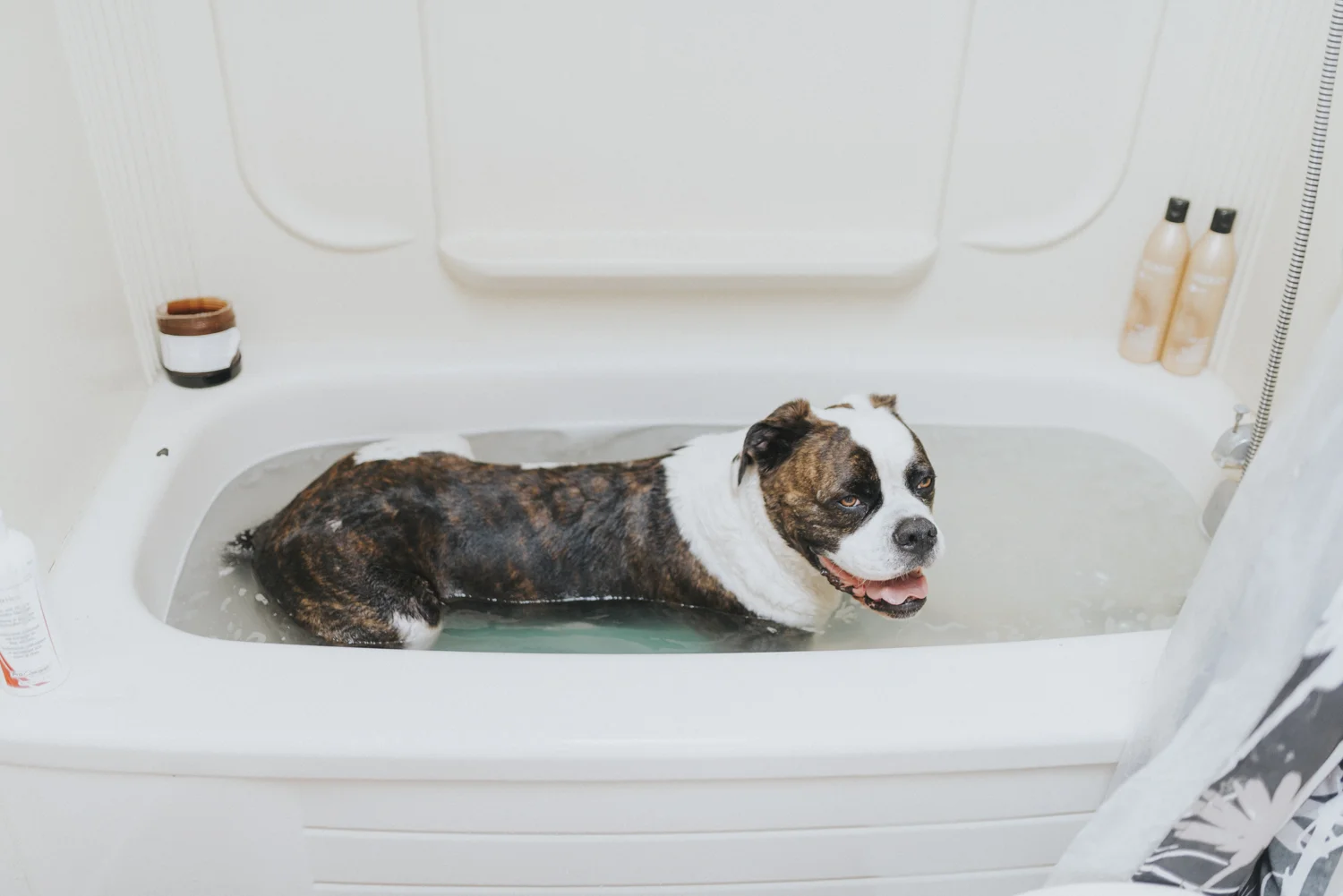 Bath,sabrinamay-17.jpg