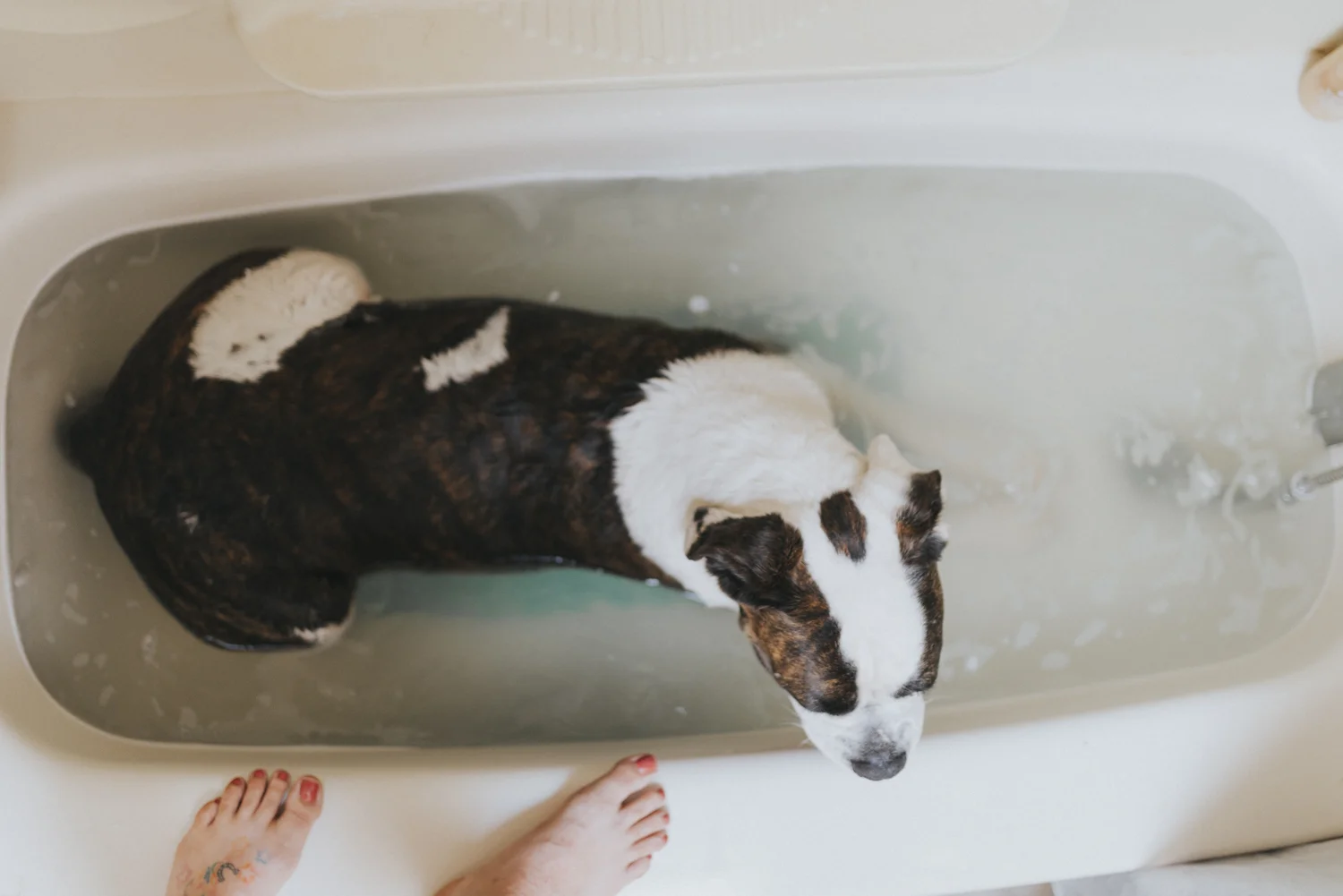 Bath,sabrinamay-18.jpg