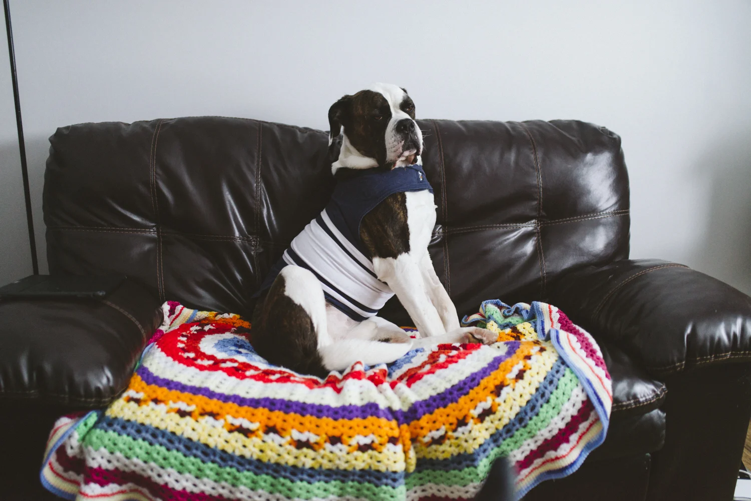 Bear,sabrinamayphotography-22.jpg