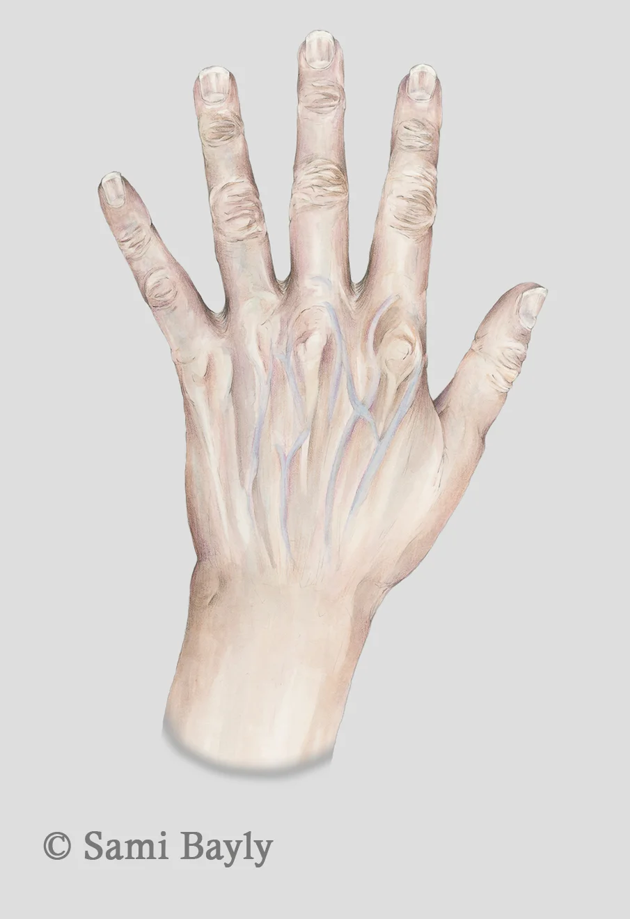 Hand