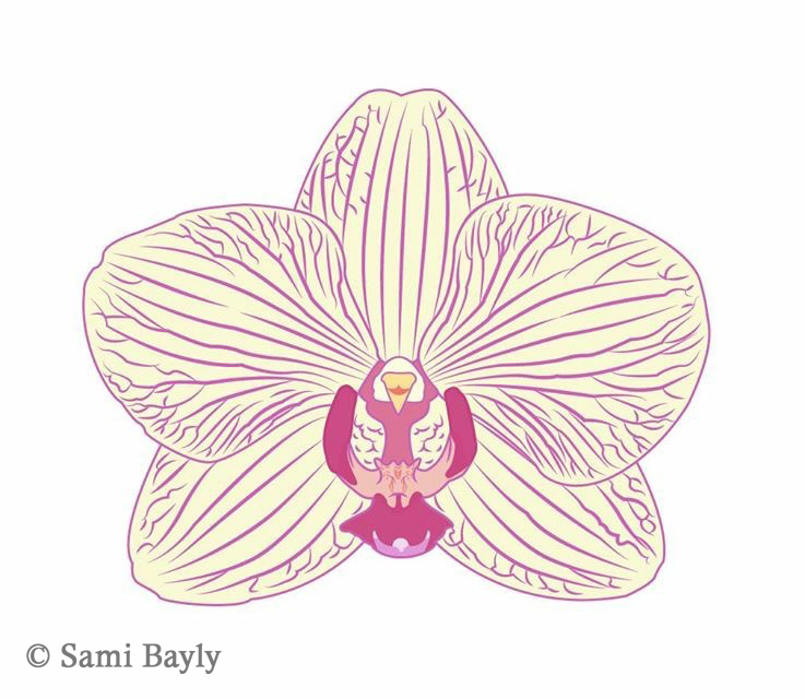 Digital Orchid