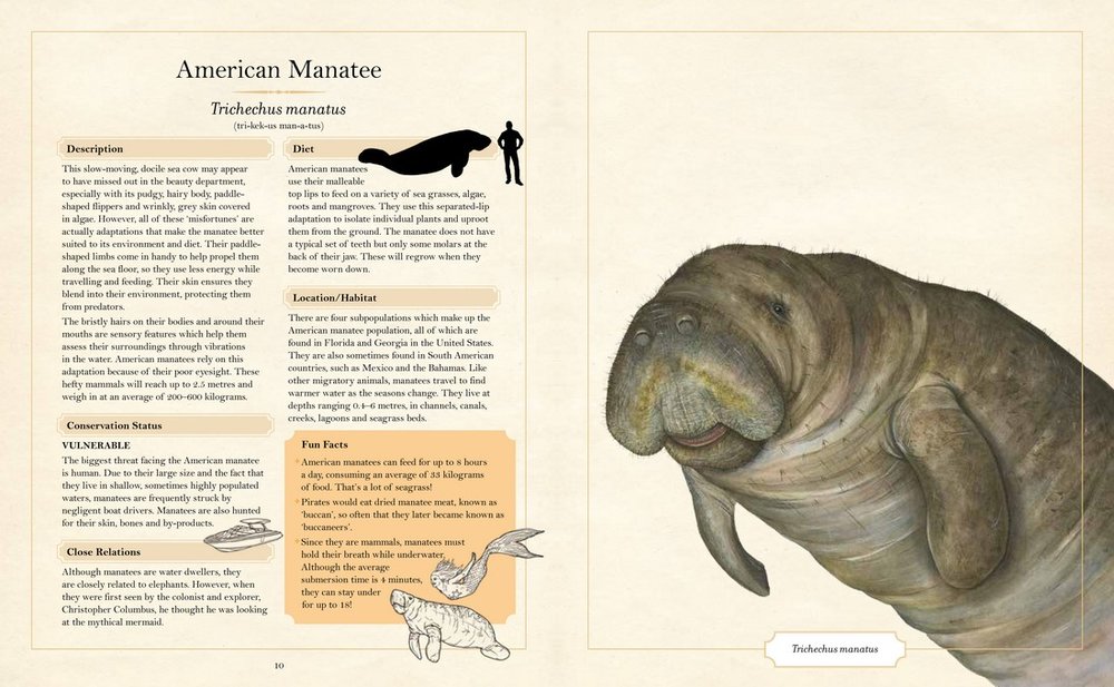 The Illustrated Encyclopaedia of Ugly Animals — Sami Bayly