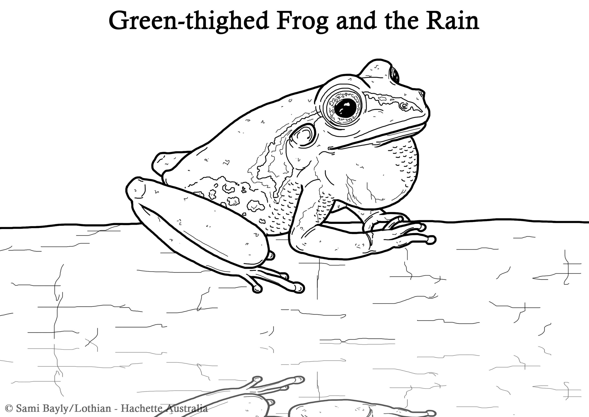 Green-thighed Frog and the Rain Line Drawing.jpg