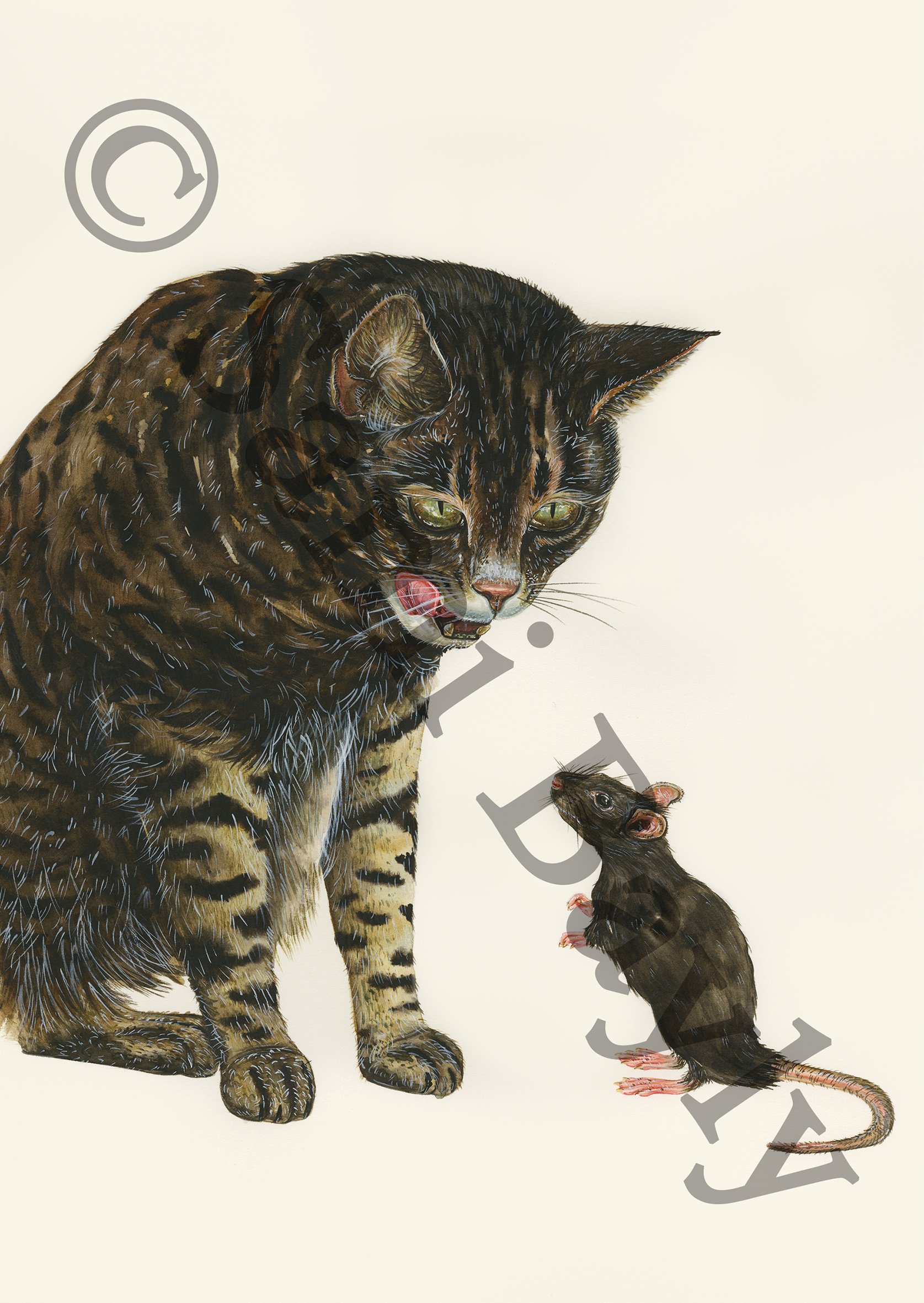 Mind-controlling Parasite, Cat and the Common Rat Small.jpg