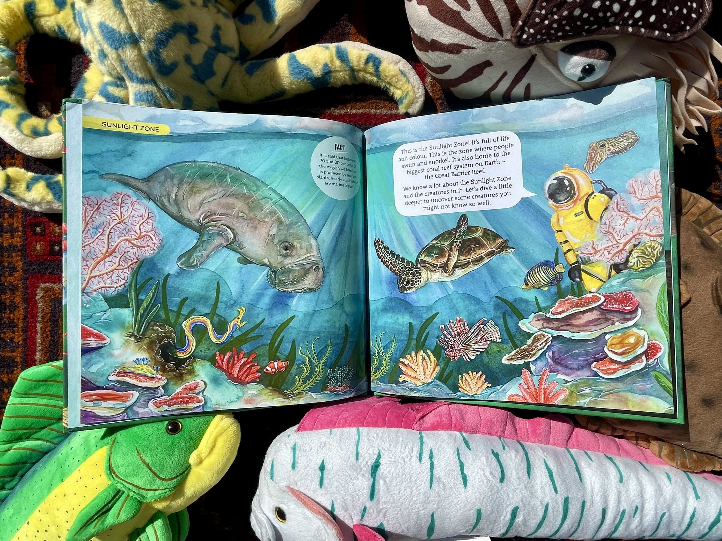 How We Came To Be - Surprising Sea Creatures — Sami Bayly
