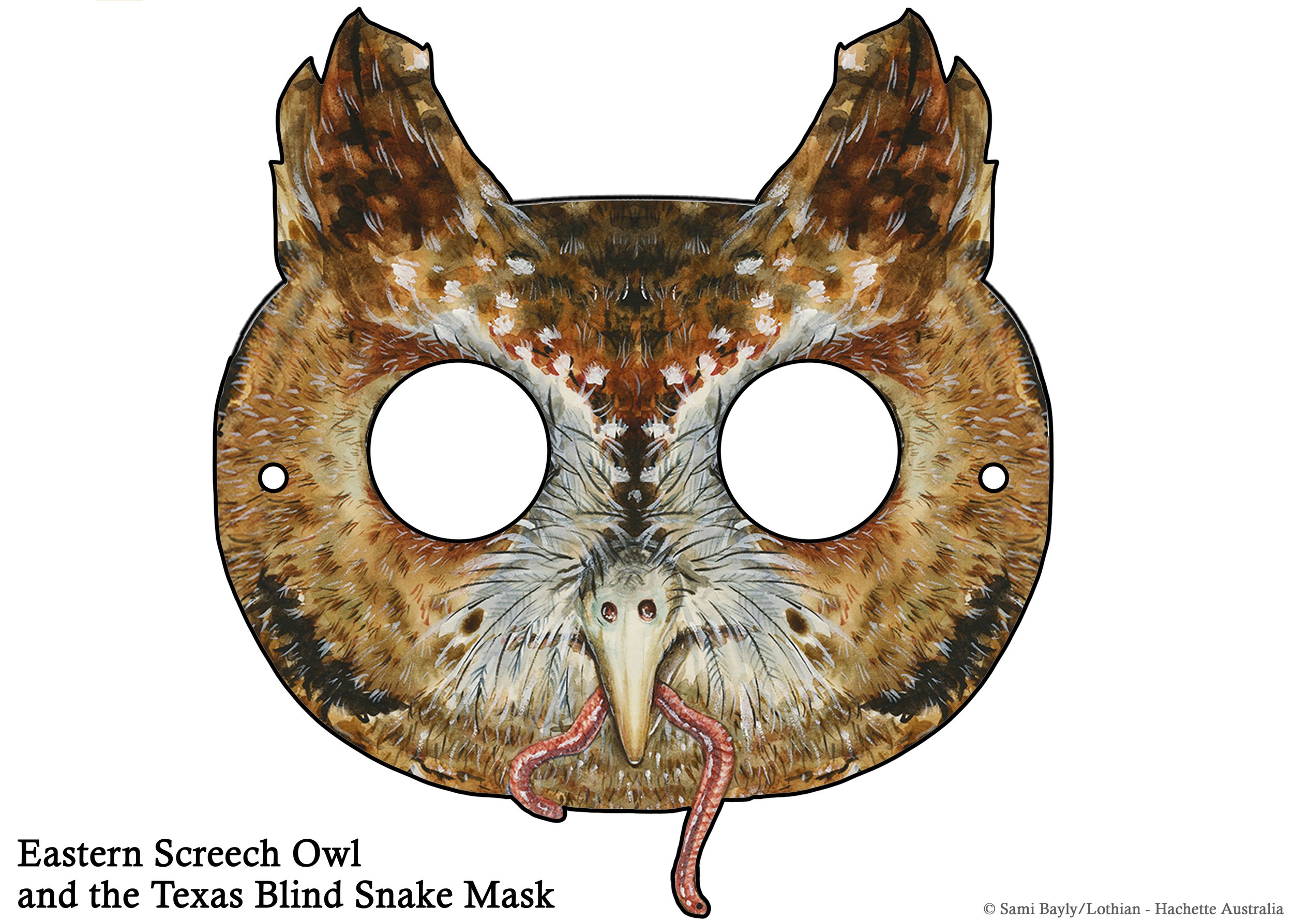 Eastern Screech Owl and the Texas Blind Snake Mask.jpg