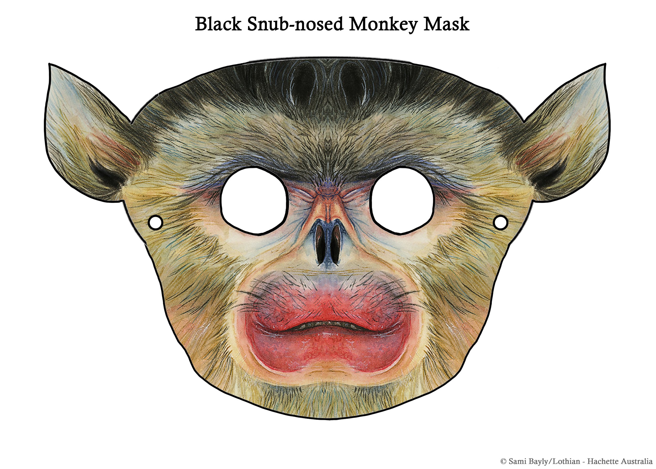 Black Snub-nosed Monkey Mask.jpg