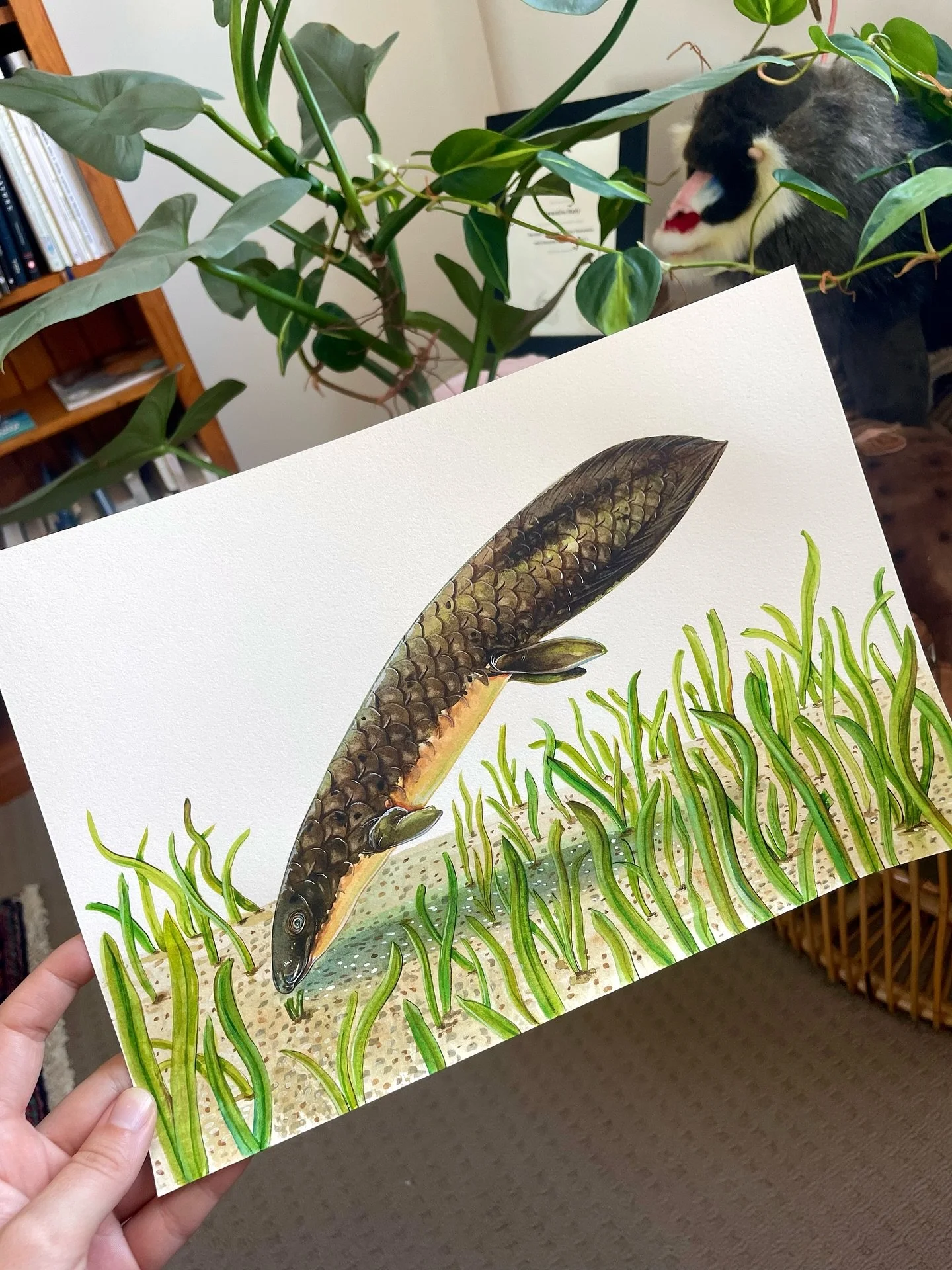 Check out the journey my art can take to get it from the finished watercolour piece, to the scanned version with a background, to the final printed page in the book! 

Sometimes my artworks undergo changes before they are book ready, and in the case 