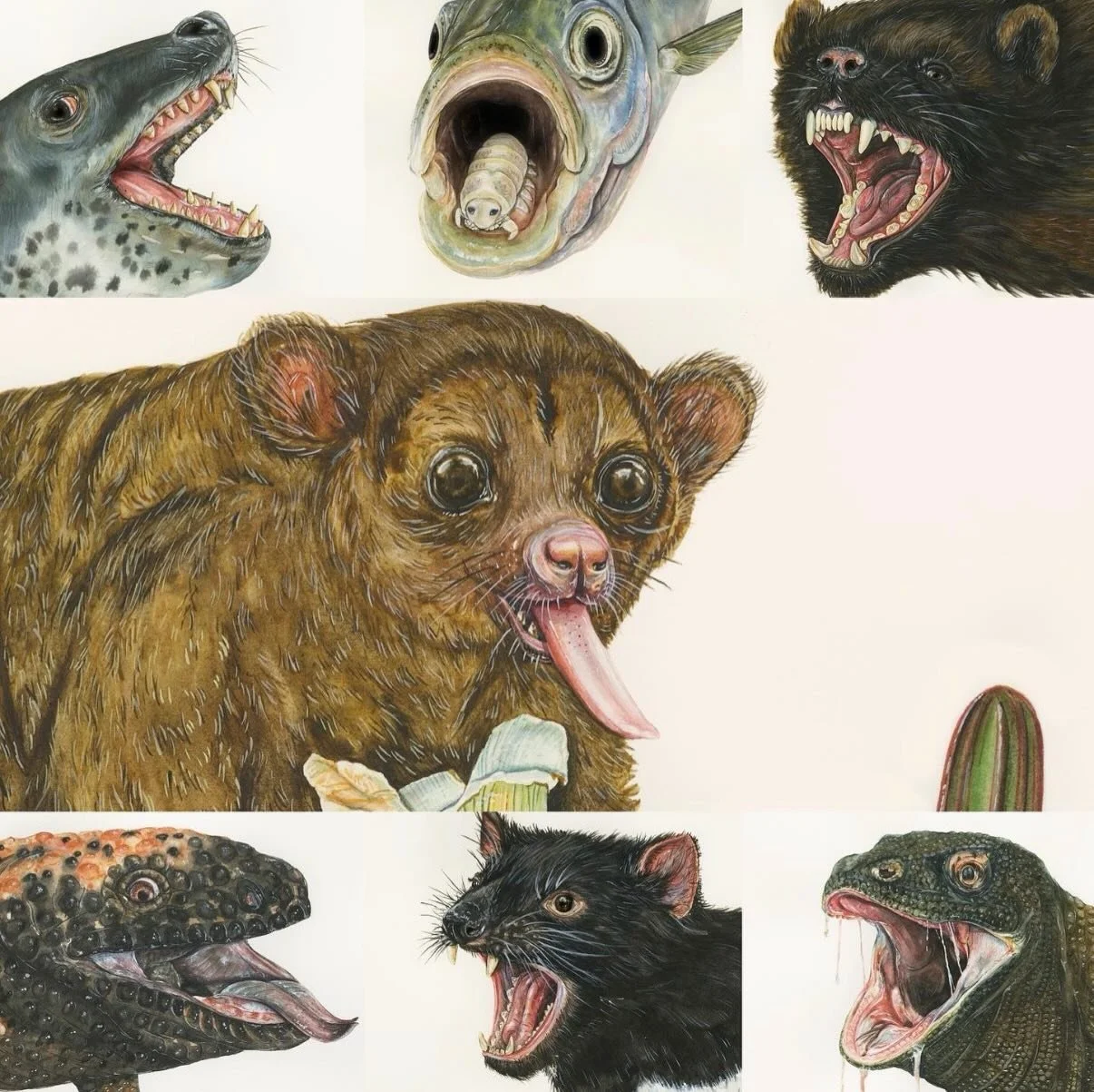 😬 Cute yet terrifying animal mouths 👄
Which is your favourite?

#watercolour #watercolor #painting #art #animalart