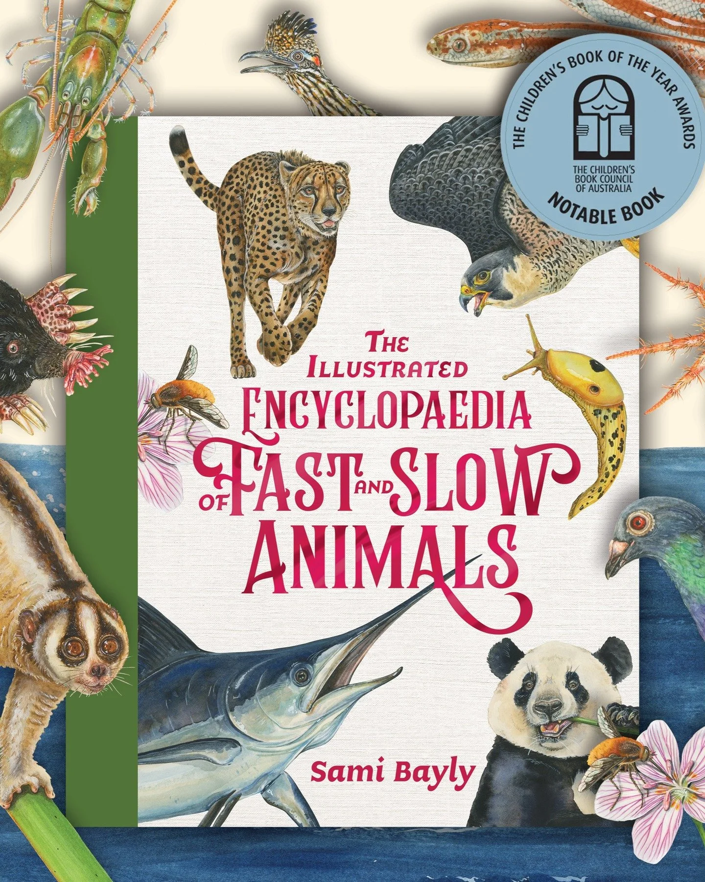 WOOO! Fast and Slow Animals have made it into the @cbcaustralia notables 😍
I am so pleased to see my book being acknowledged and enjoyed by the judges for the Eve Pownall Award. I secretly hope they loved learning all the gross fun facts I added in.